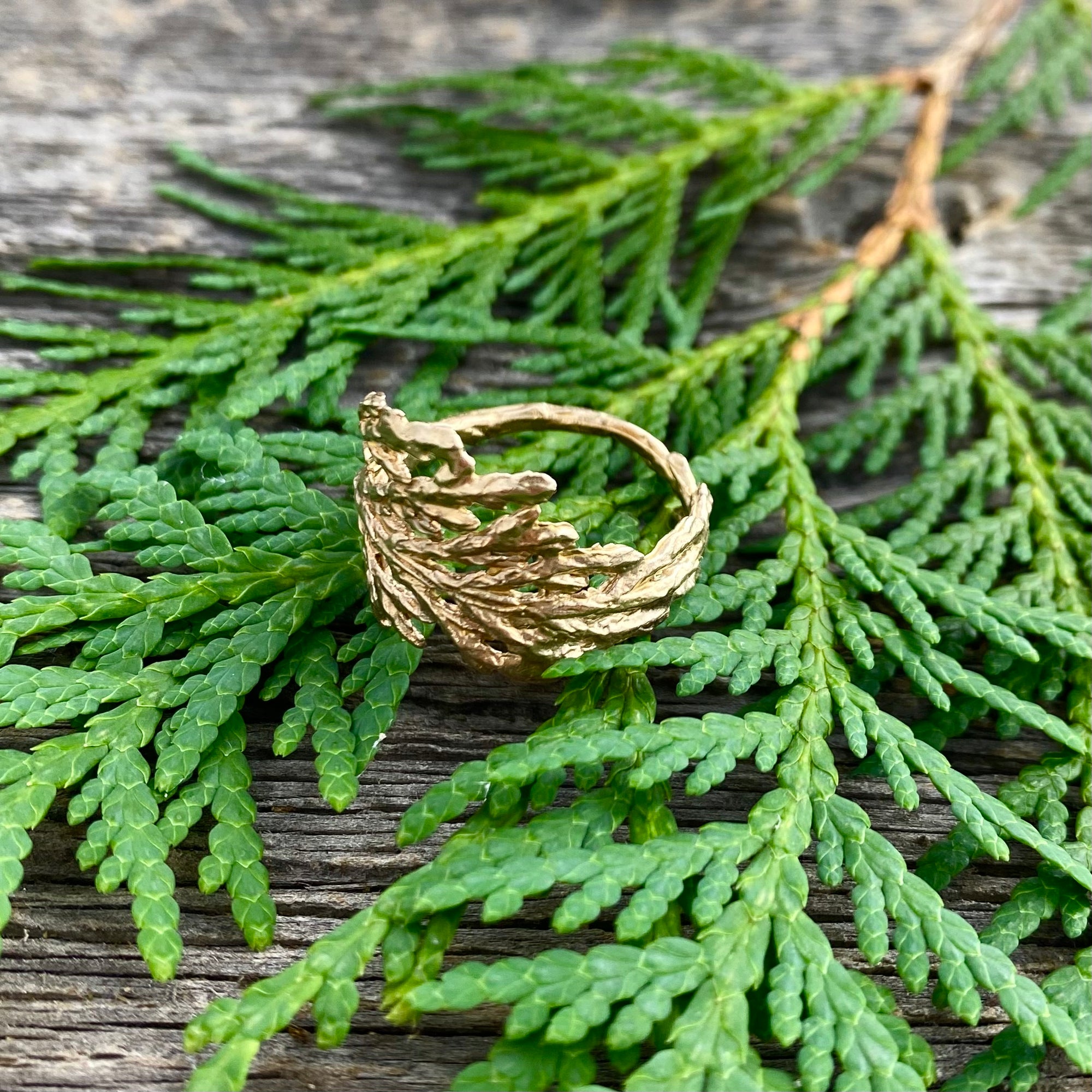 Cedar Ring in Bronze Wide
