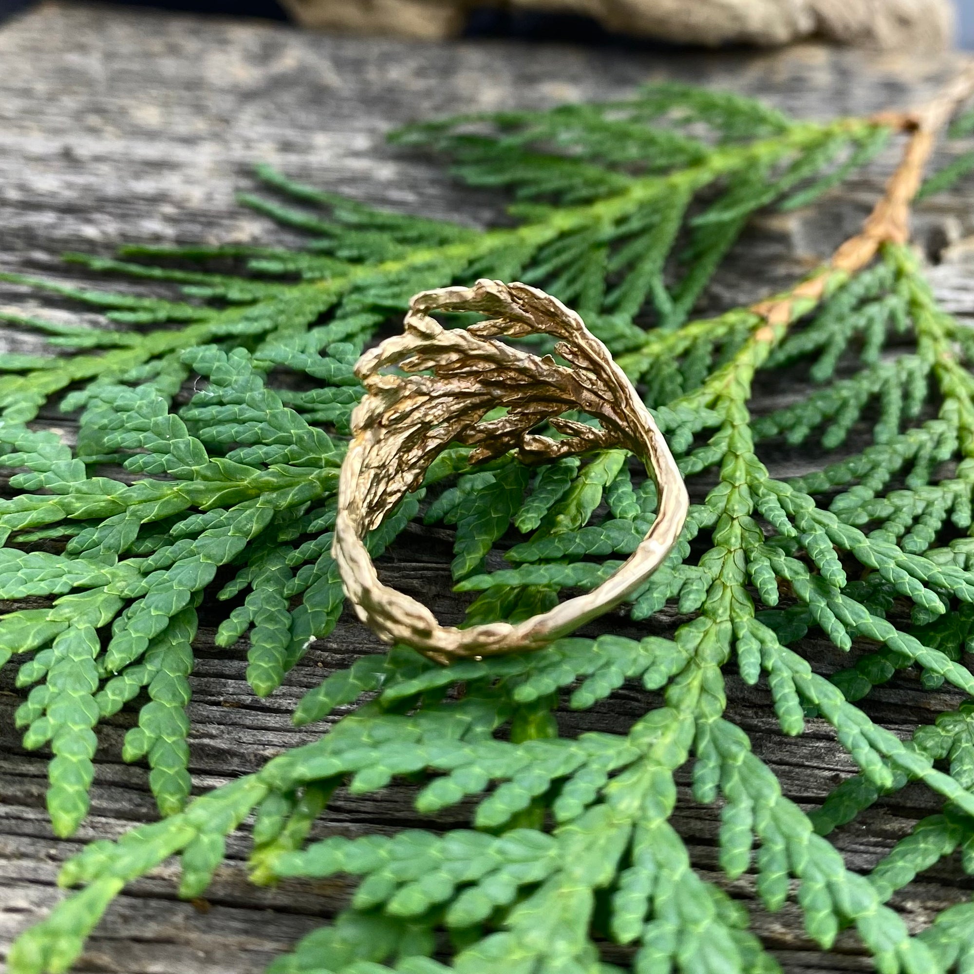 Cedar Ring in Bronze Wide