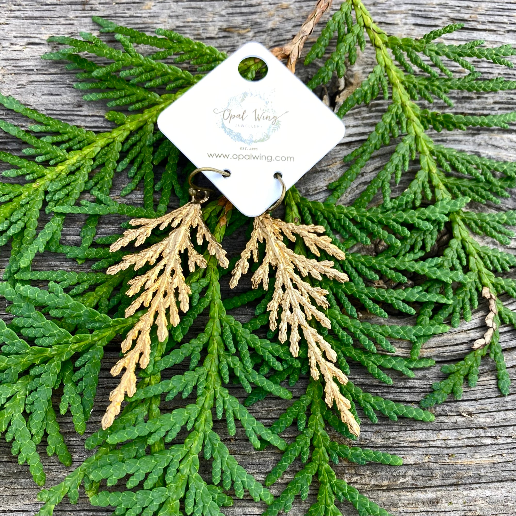 Cedar Earrings in Bronze Full