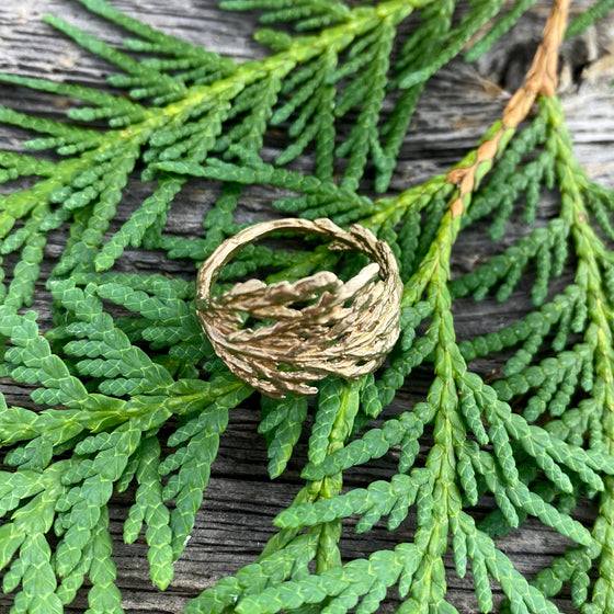 Cedar Ring in Bronze Wide