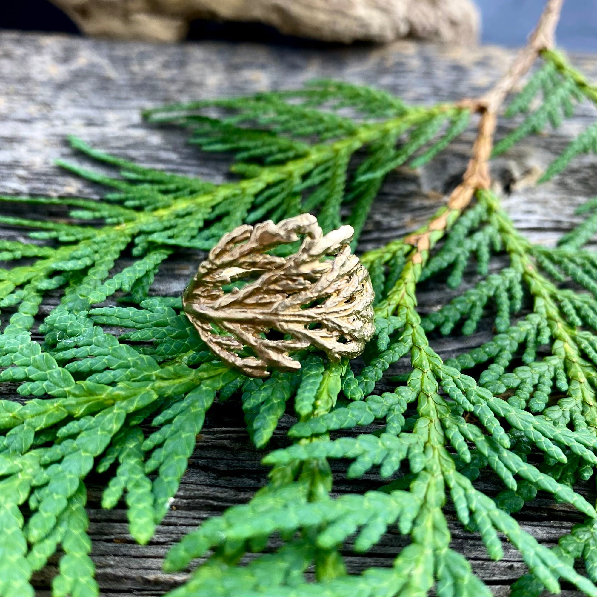 Cedar Ring in Bronze Wide