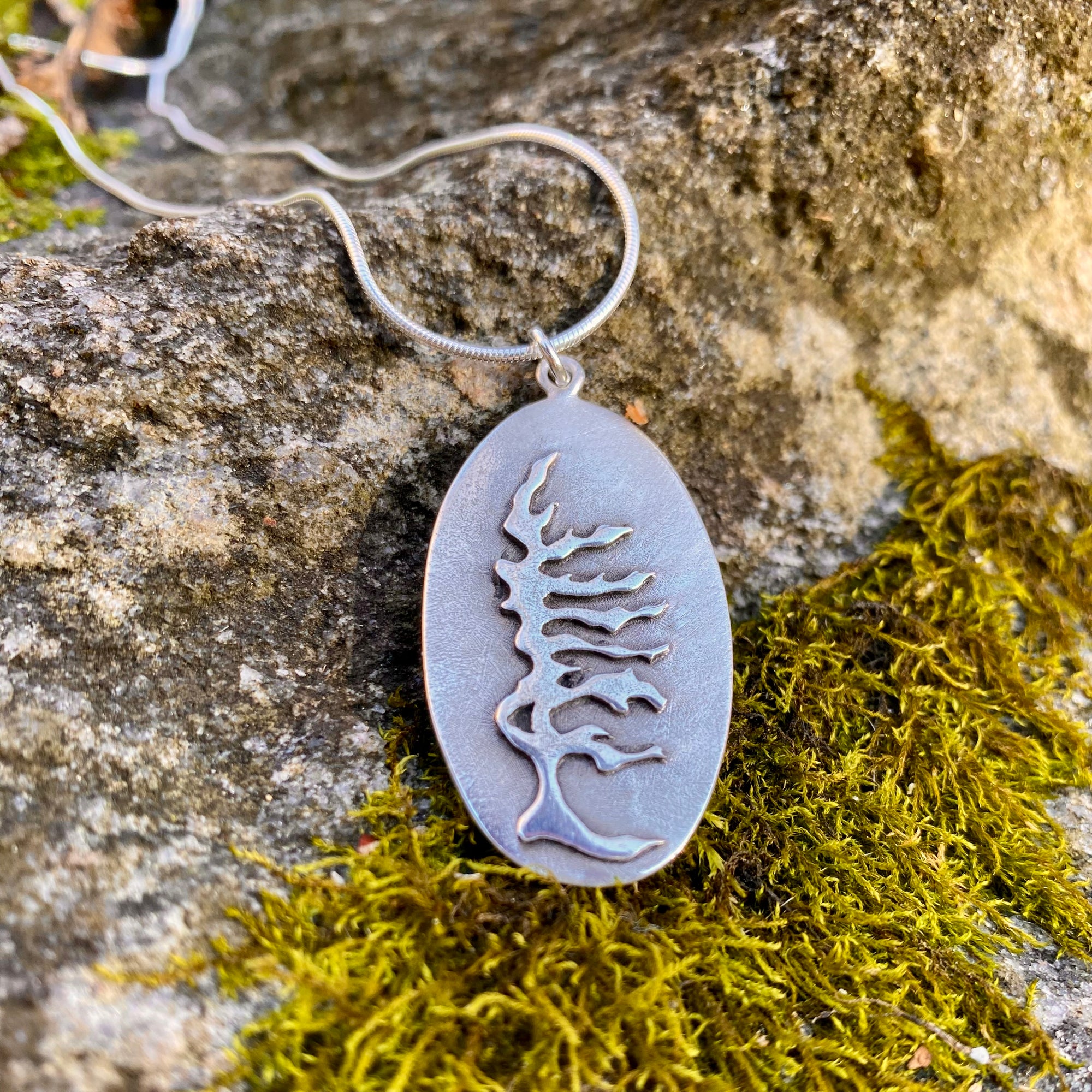 Windswept Large Georgian Pine Pendant