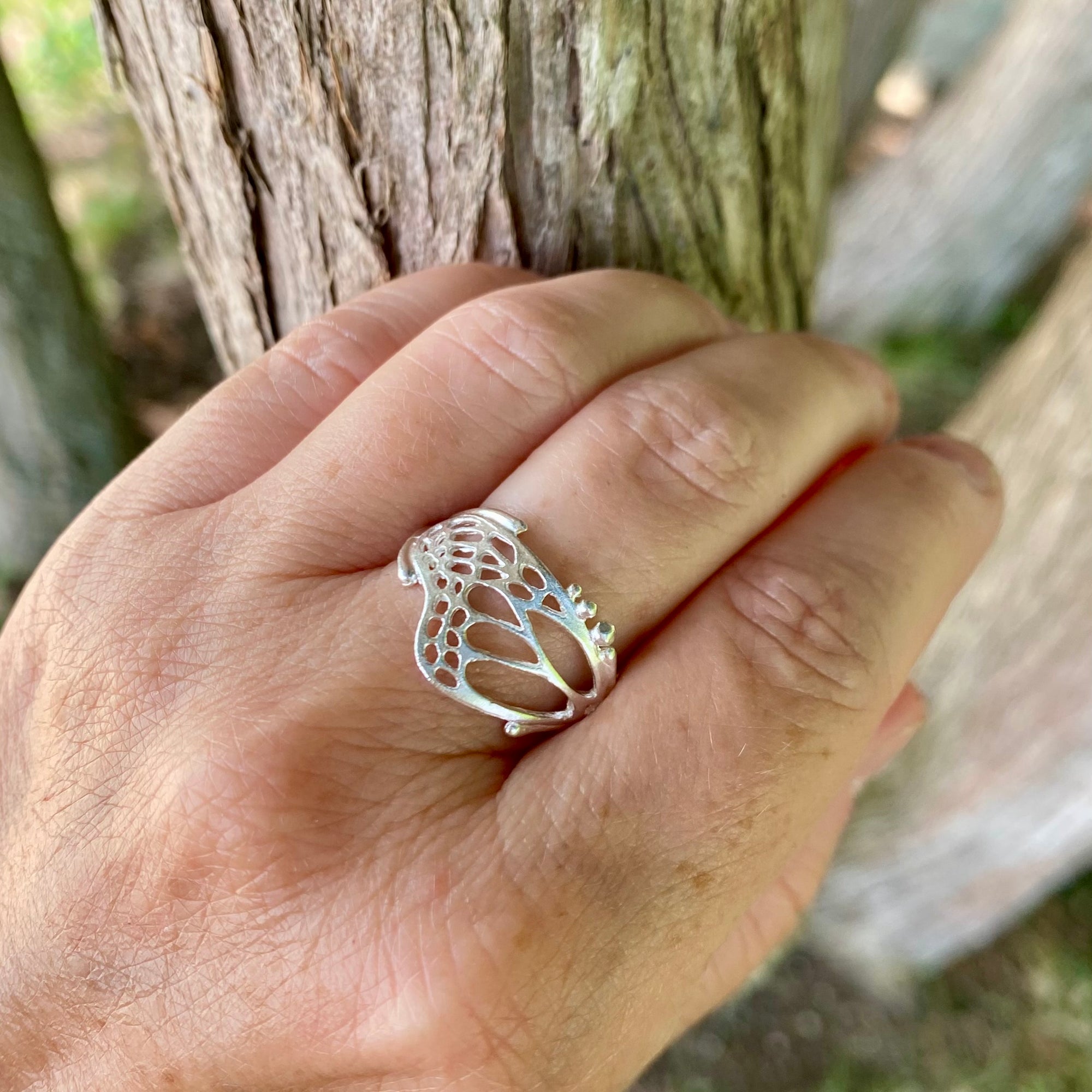 Metamorphosis butterfly ring in Silver