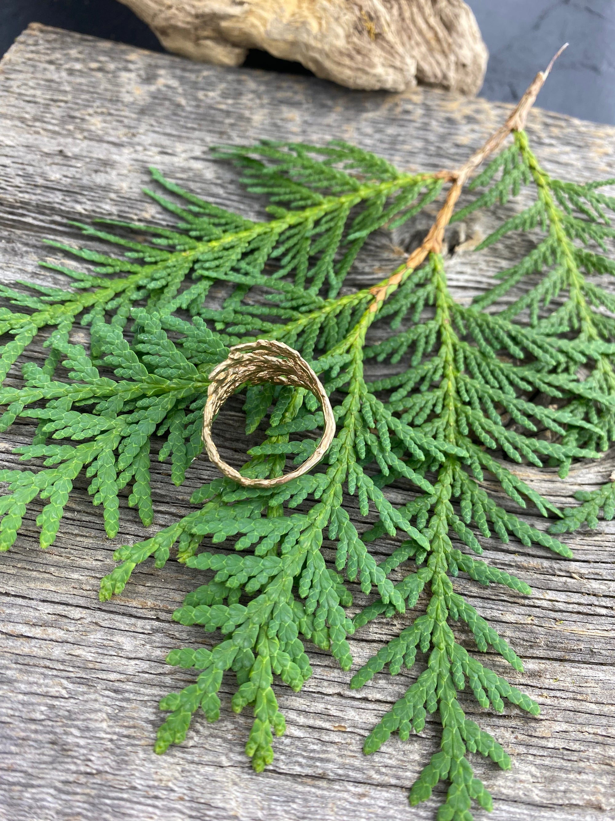 Cedar Ring in Bronze Wide