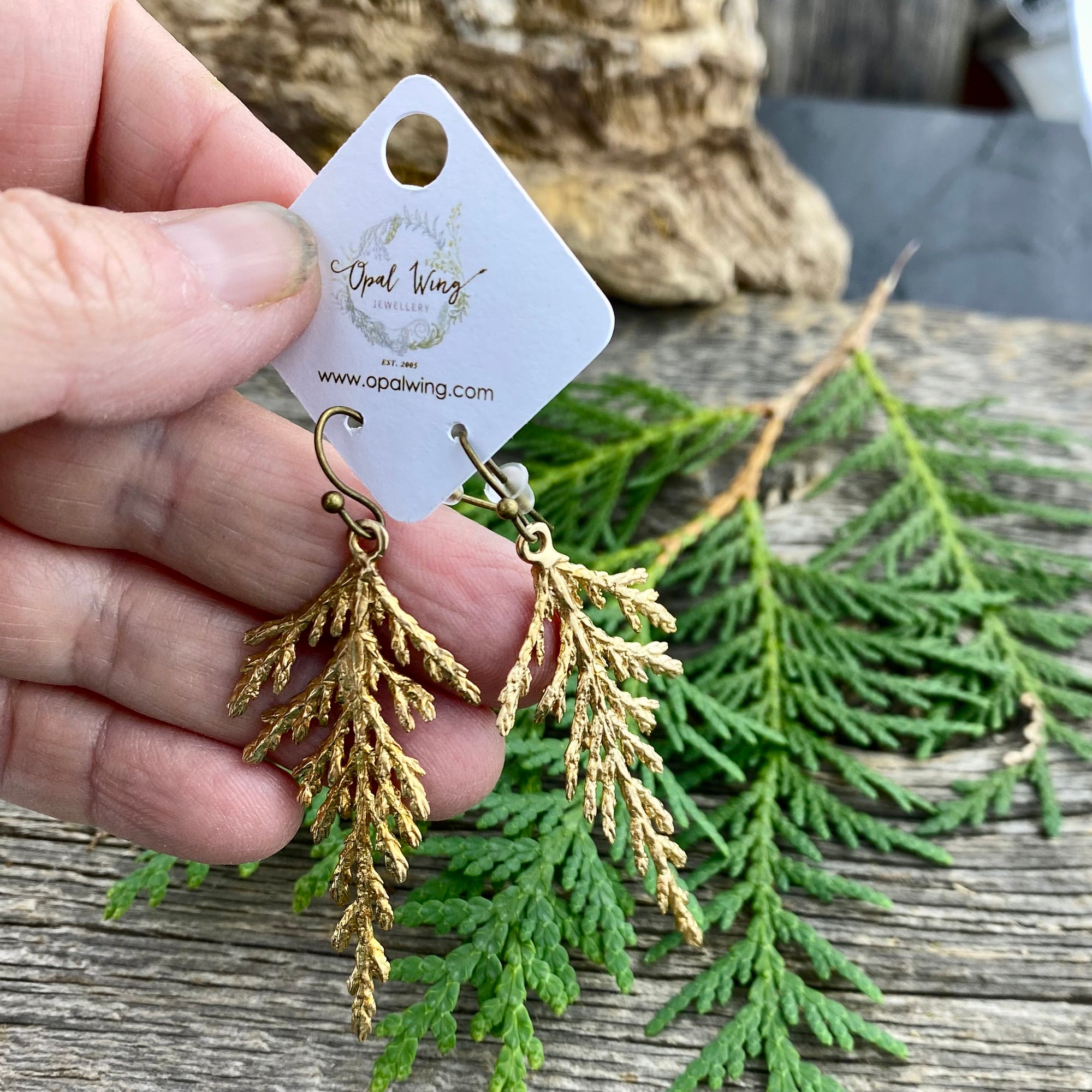 Cedar Earrings in Bronze Full