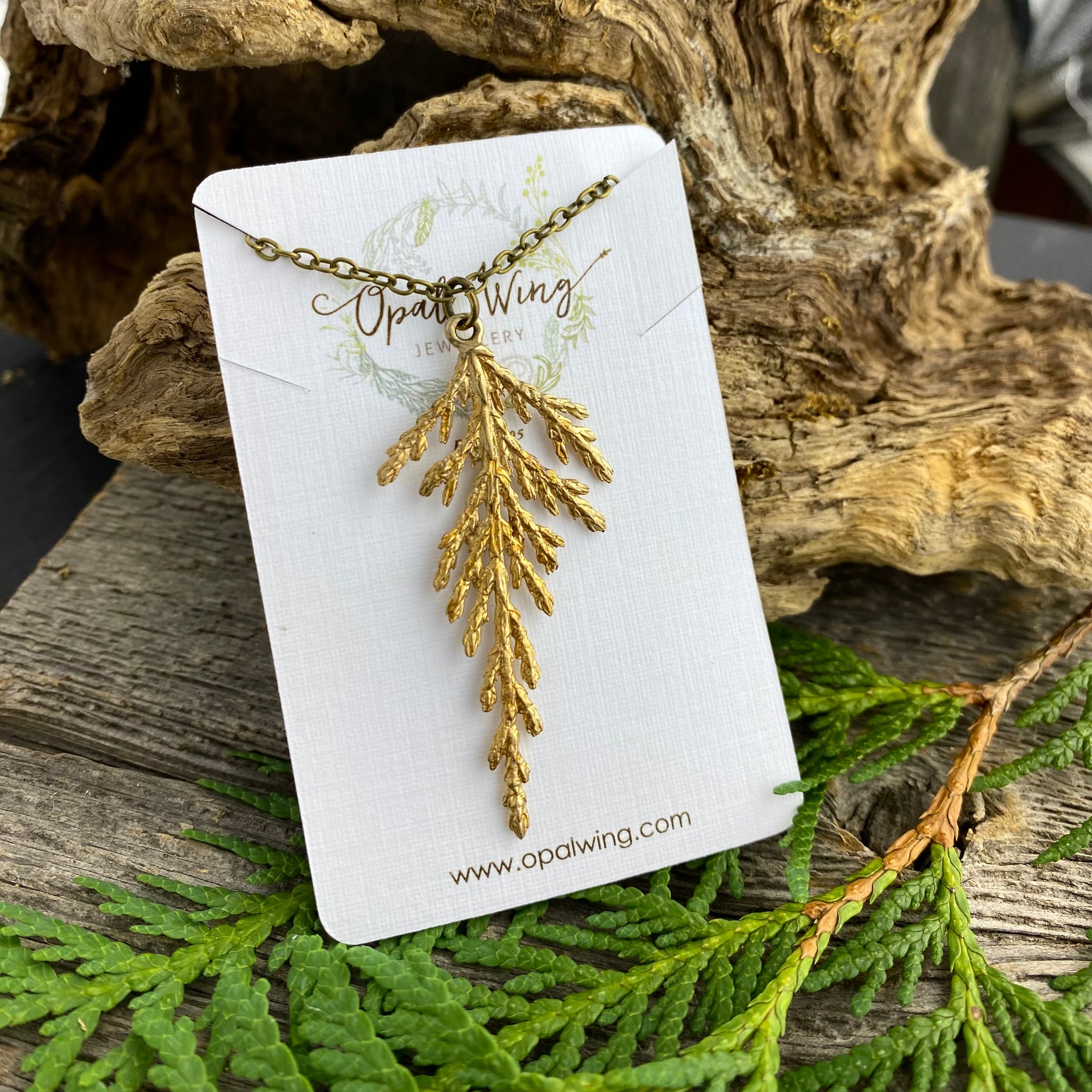 Large Eastern Cedar Pendant in Bronze