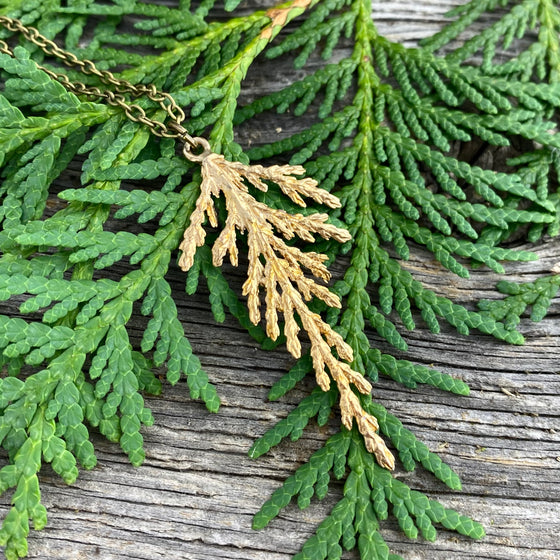 Large Eastern Cedar Pendant in Bronze