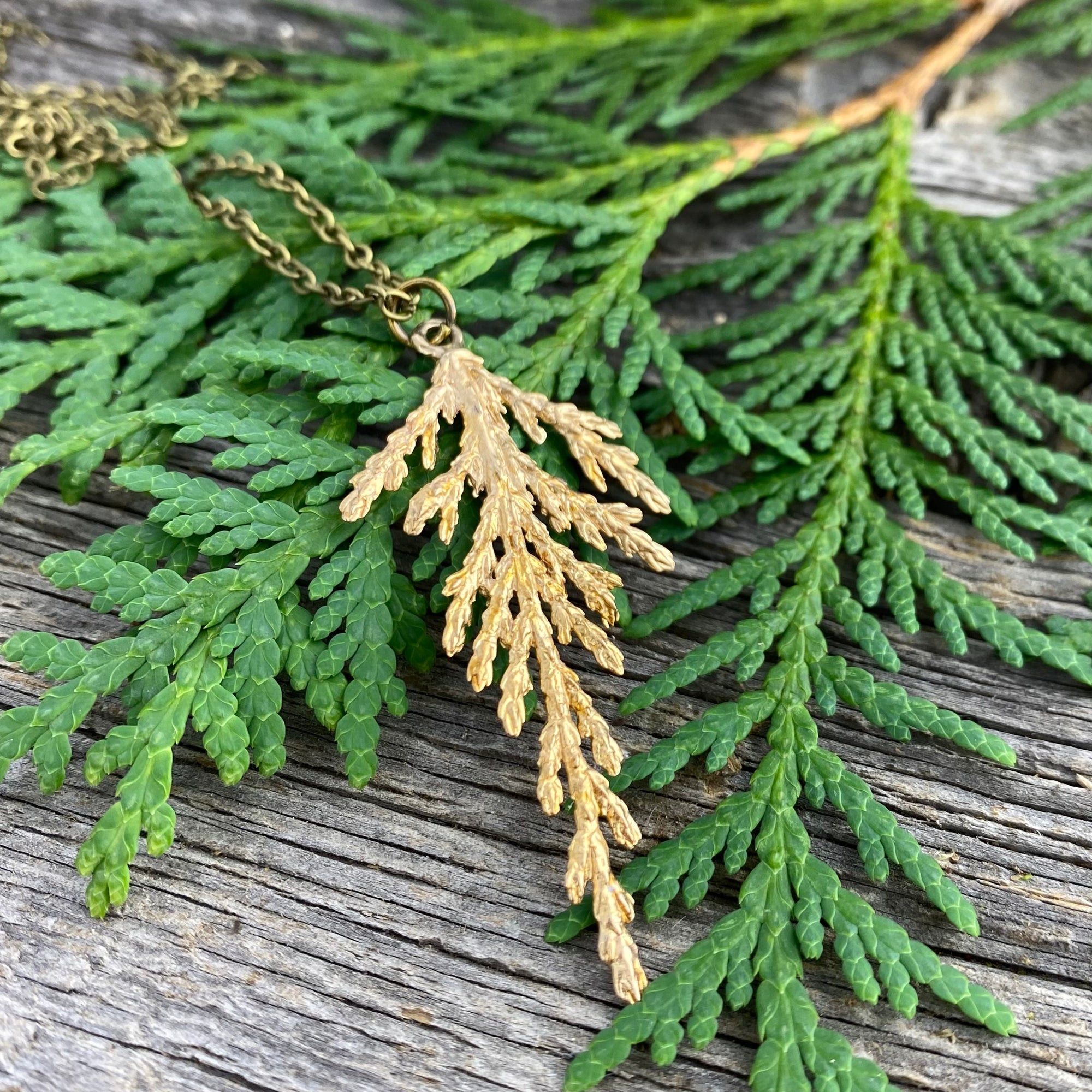 Large Eastern Cedar Pendant in Bronze
