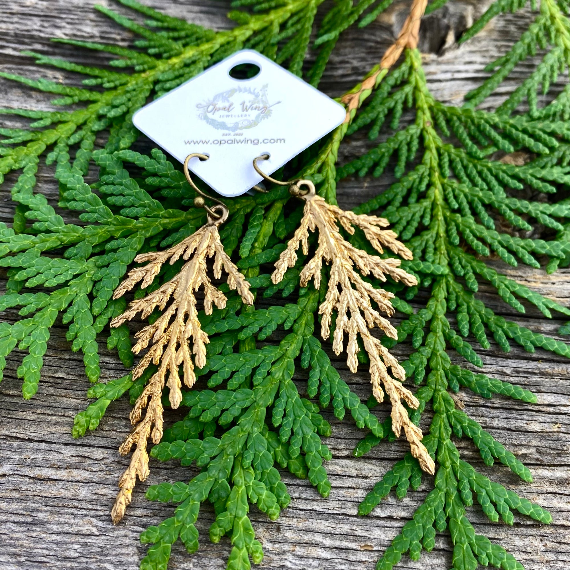 Cedar Earrings in Bronze Full