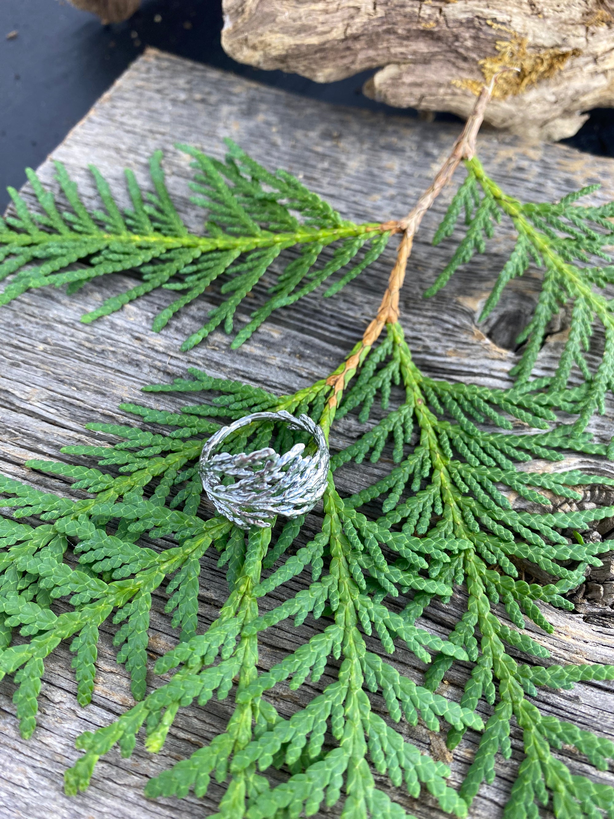 Cedar Branch Ring Wide