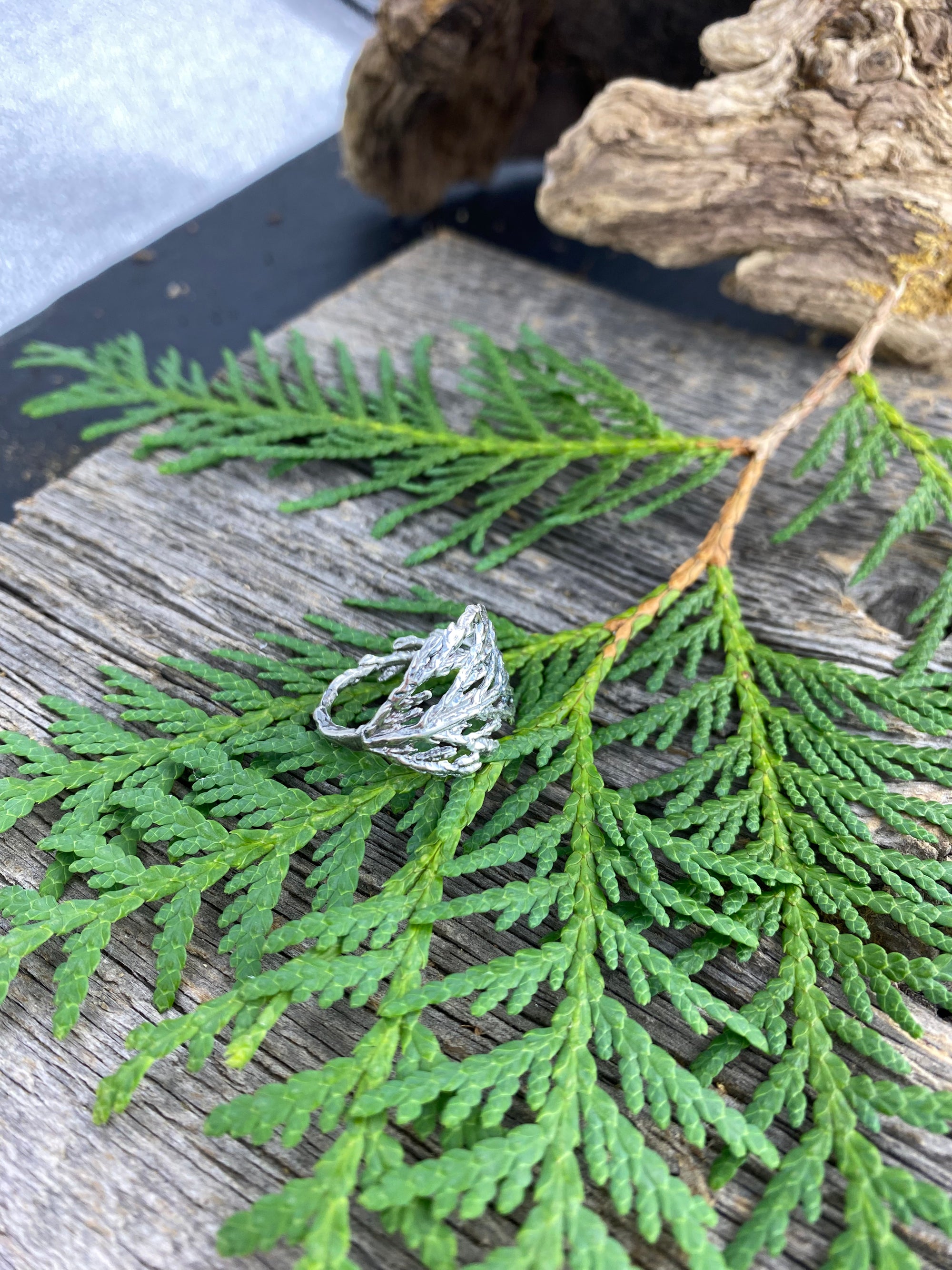Cedar Branch Ring Wide