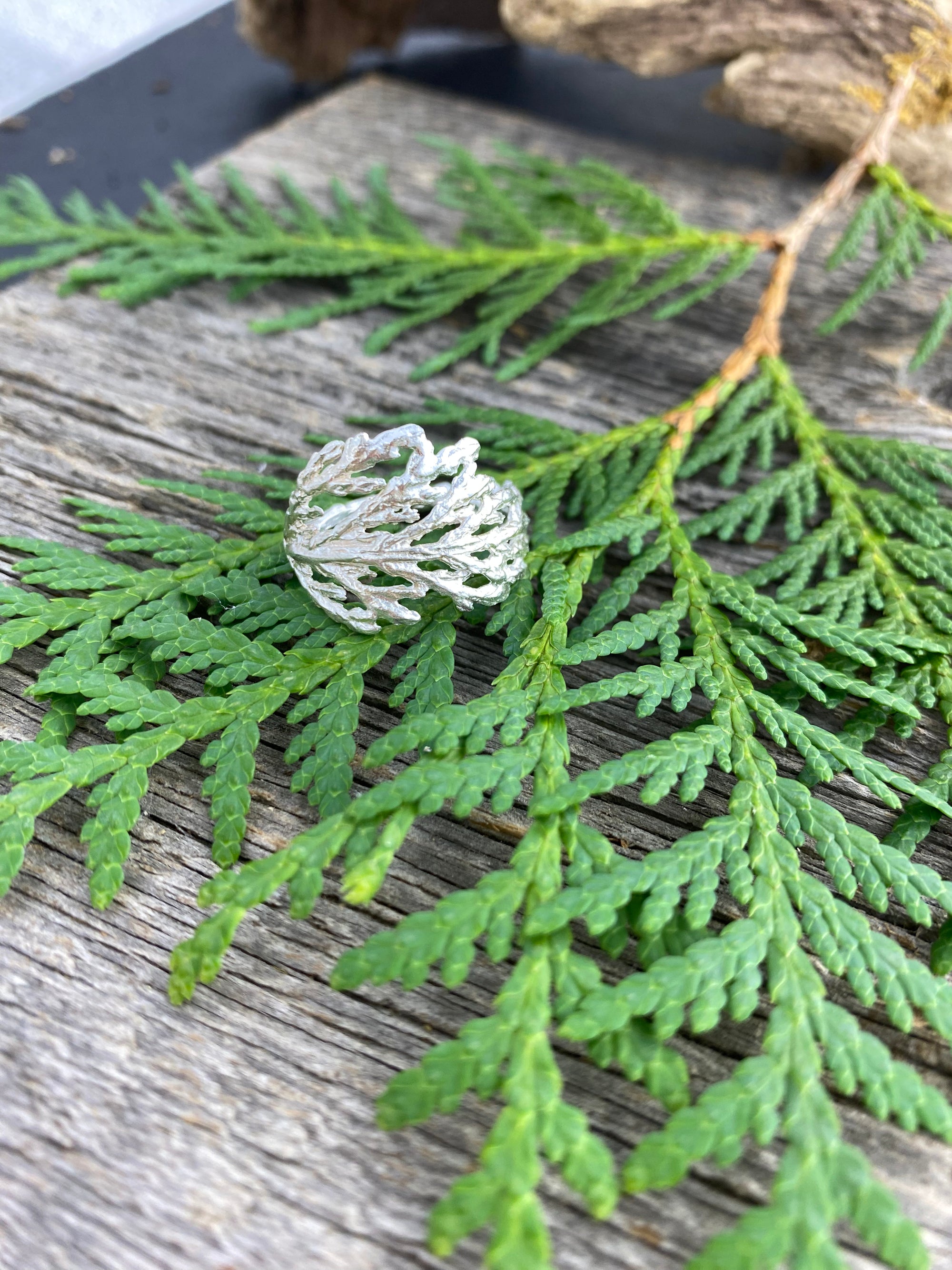 Cedar Branch Ring Wide