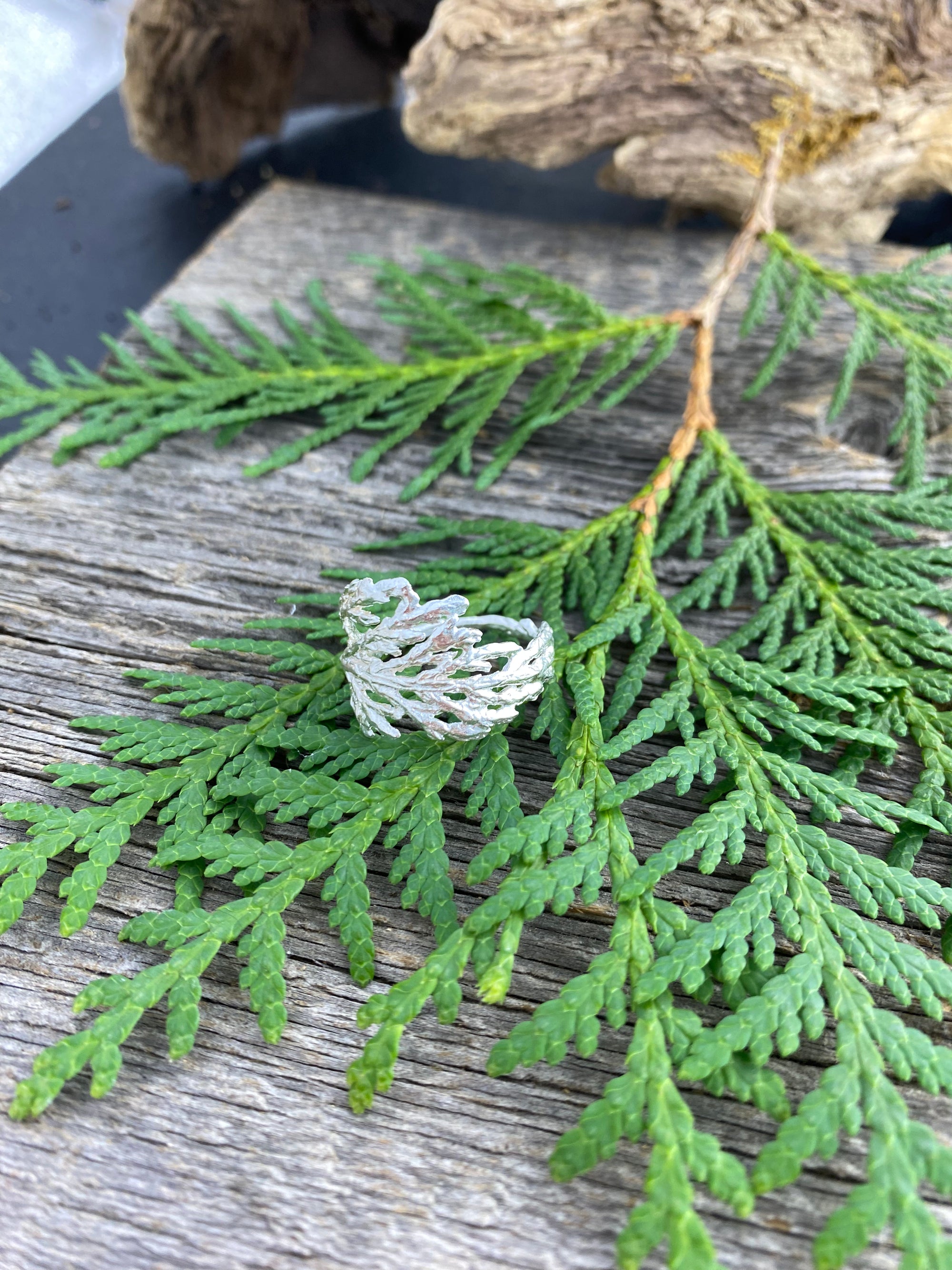 Cedar Branch Ring Wide