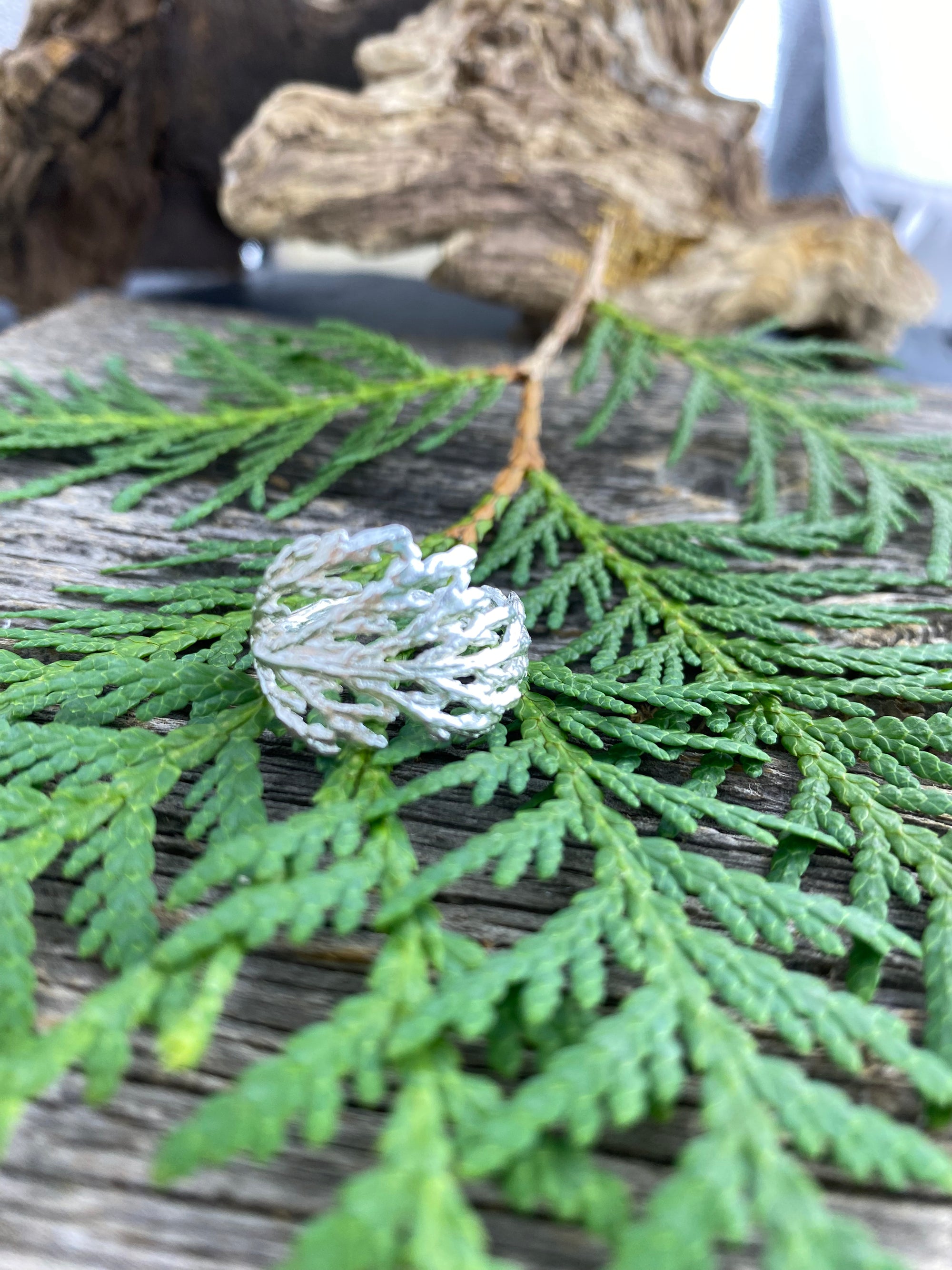 Cedar Branch Ring Wide