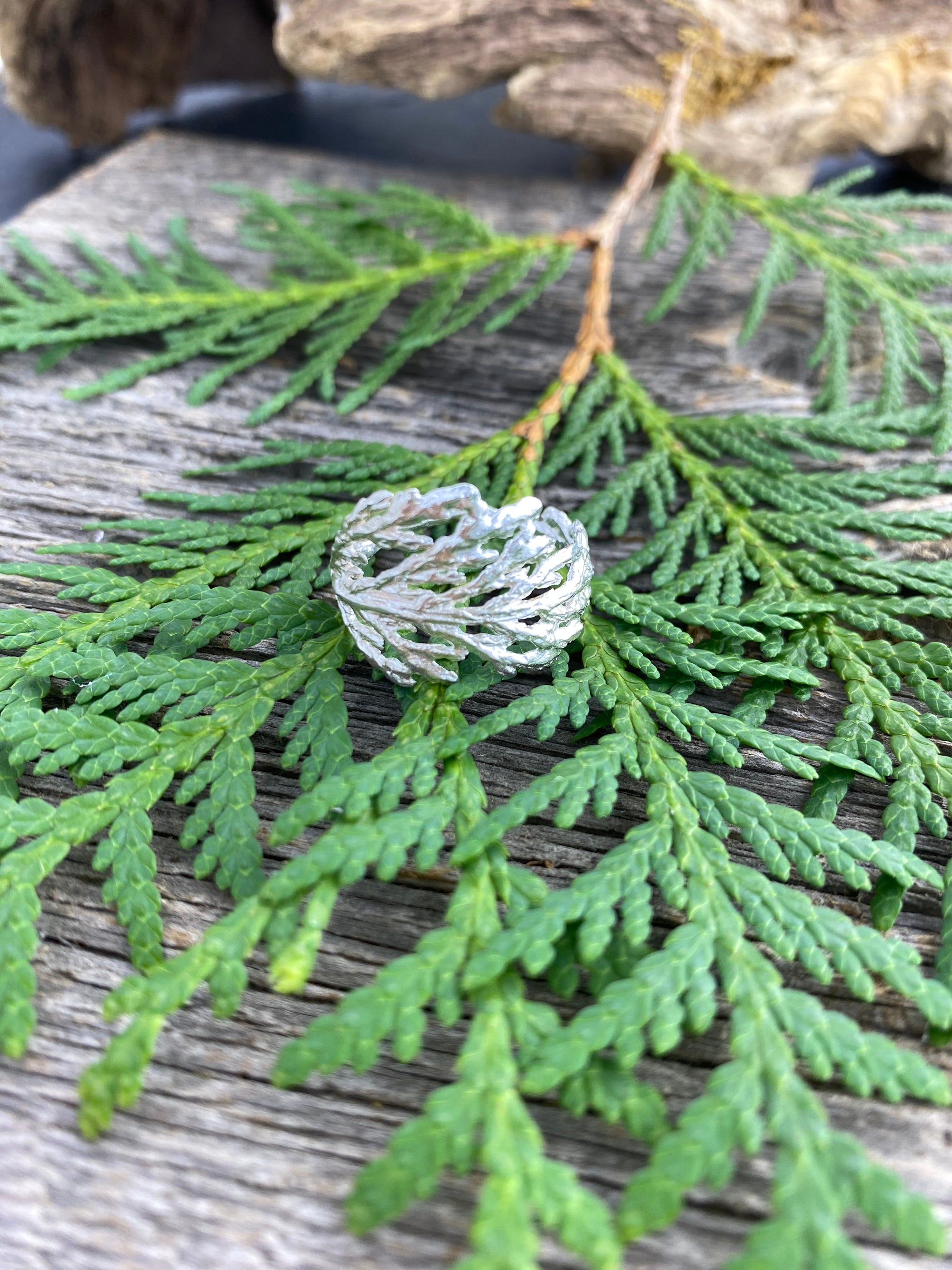 Cedar Branch Ring Wide