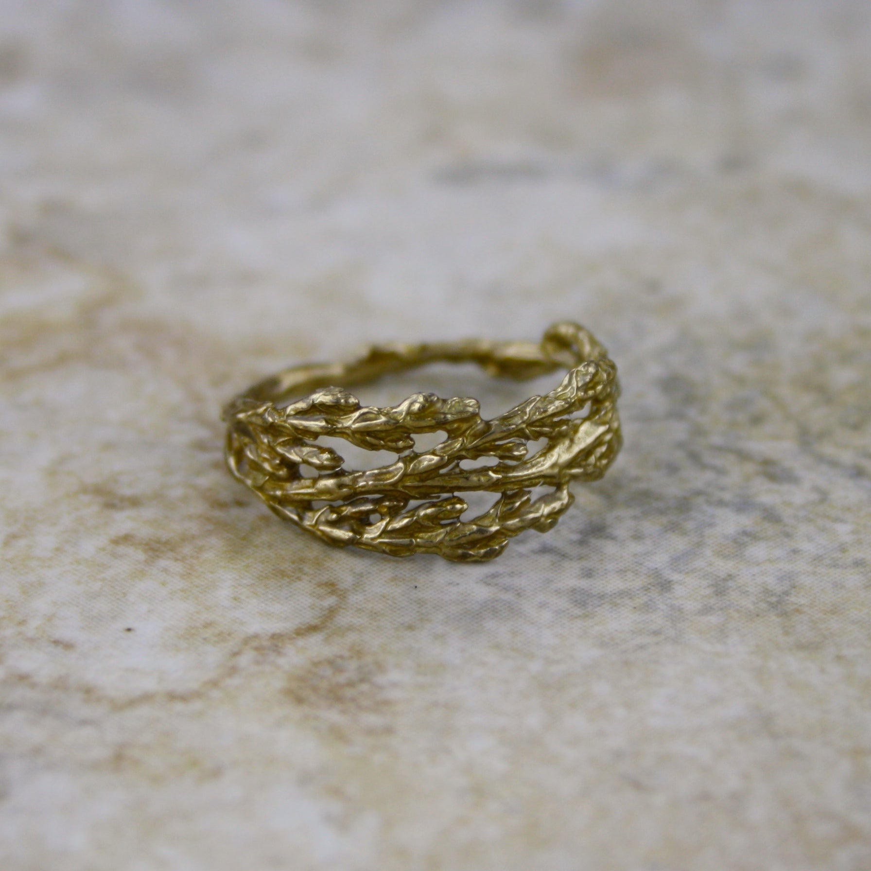 Cedar Ring in Bronze