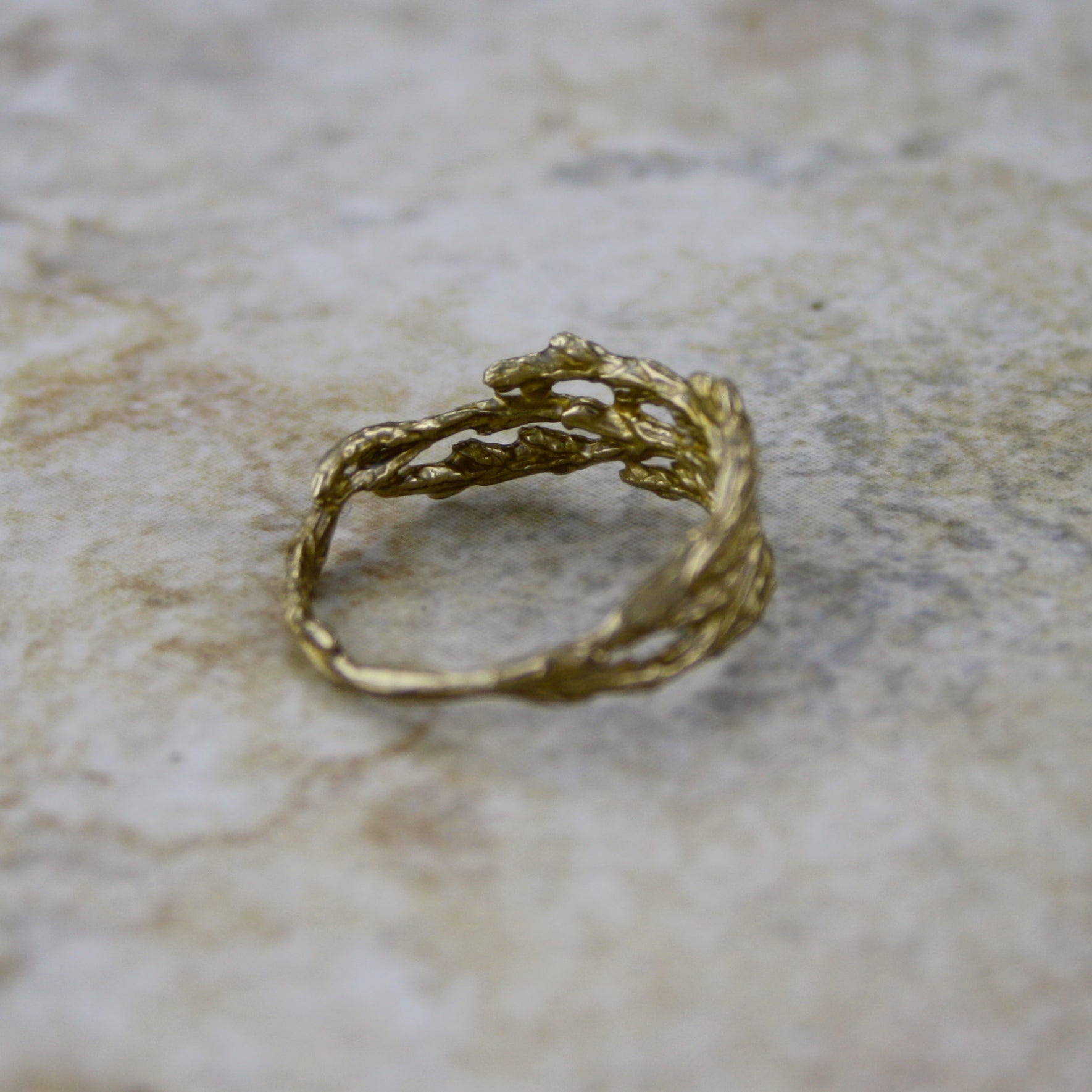 Cedar Ring in Bronze