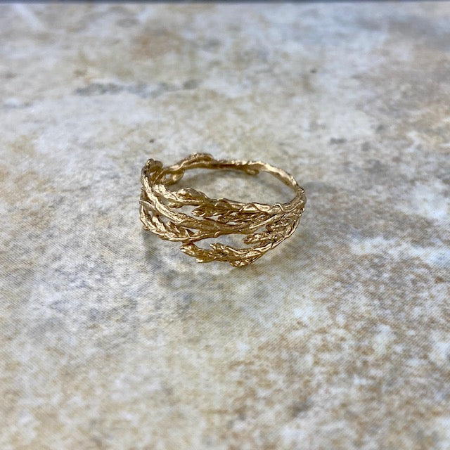 Cedar Ring in Bronze