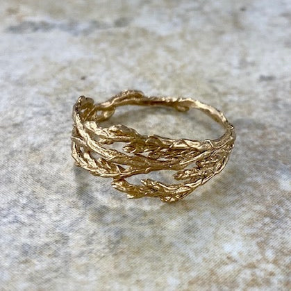 Cedar Ring in Bronze