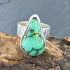 Beautiful Hubei Green Fern Turquoise ring