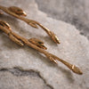 Beech Earrings in Bronze