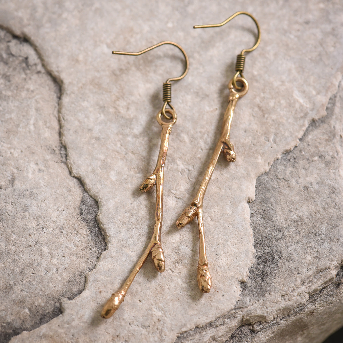 Birch Tree Buds in Bronze