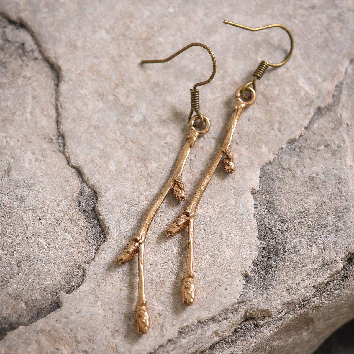 Birch Tree Buds in Bronze