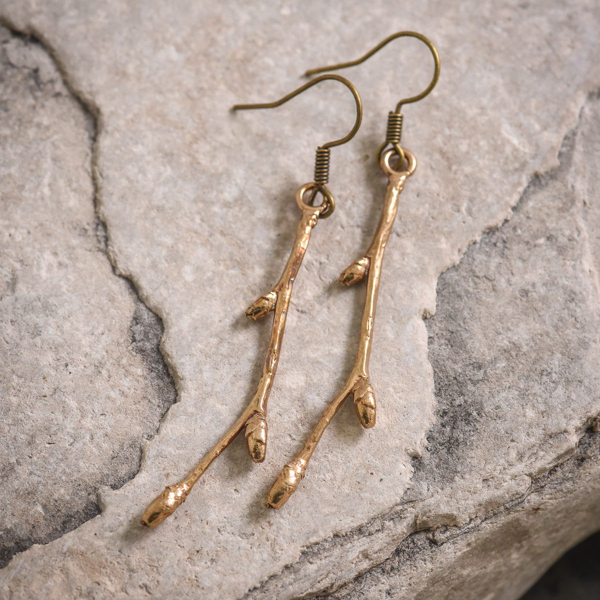 Birch Tree Buds in Bronze