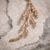 Cedar Earrings in Bronze