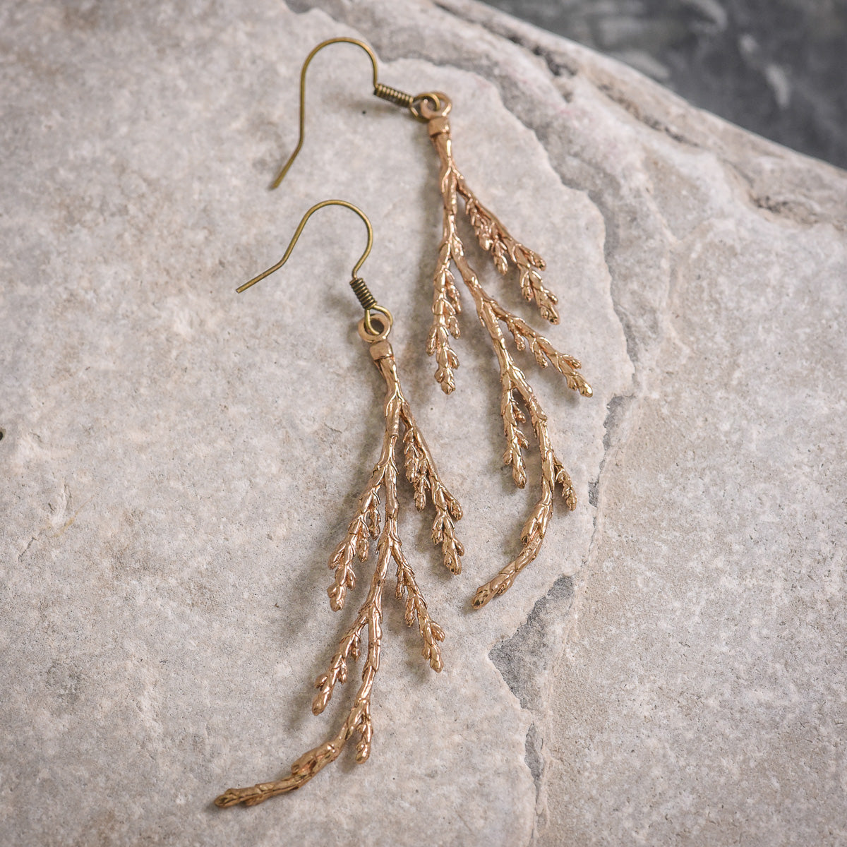 Cedar Earrings in Bronze