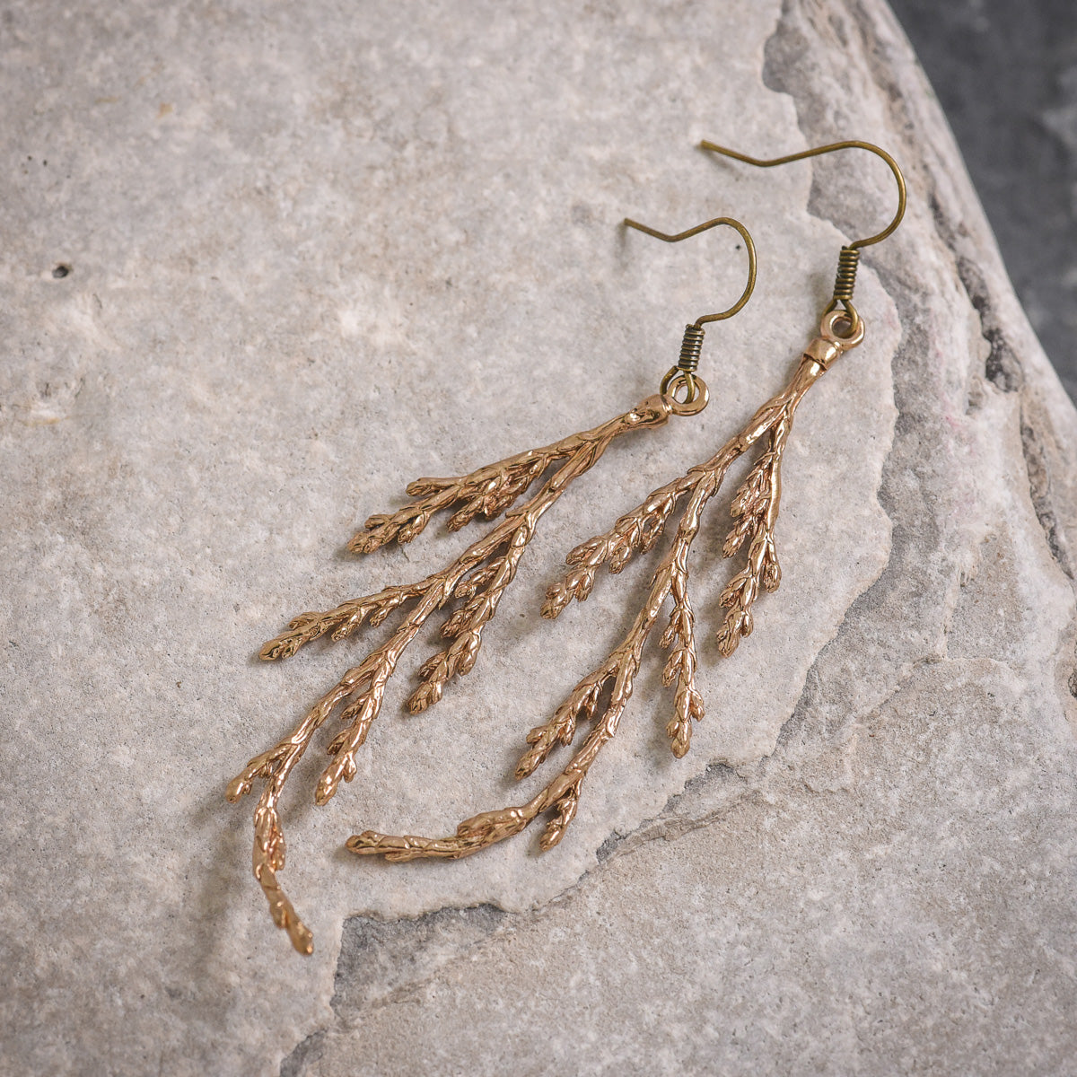 Cedar Earrings in Bronze