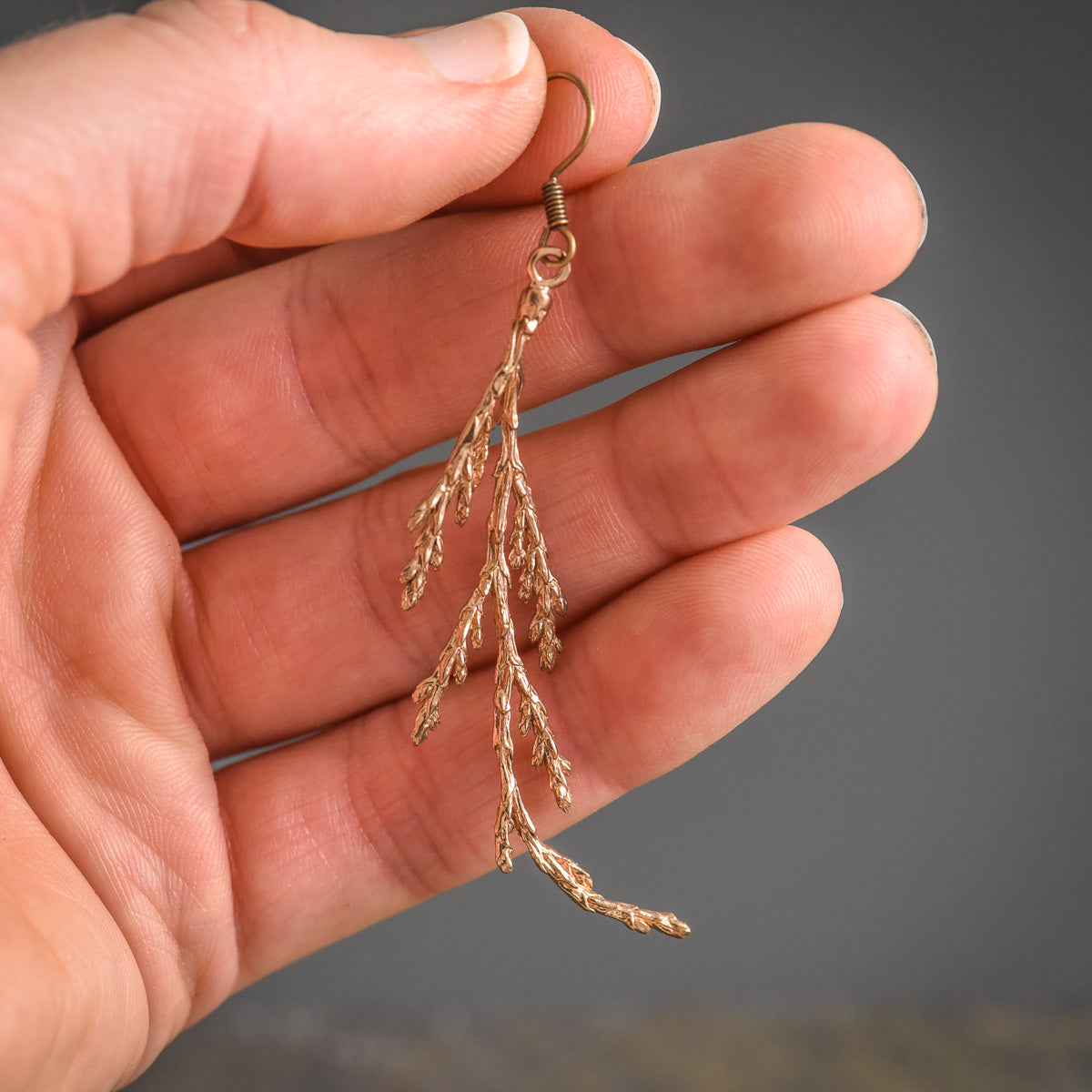 Cedar Earrings in Bronze
