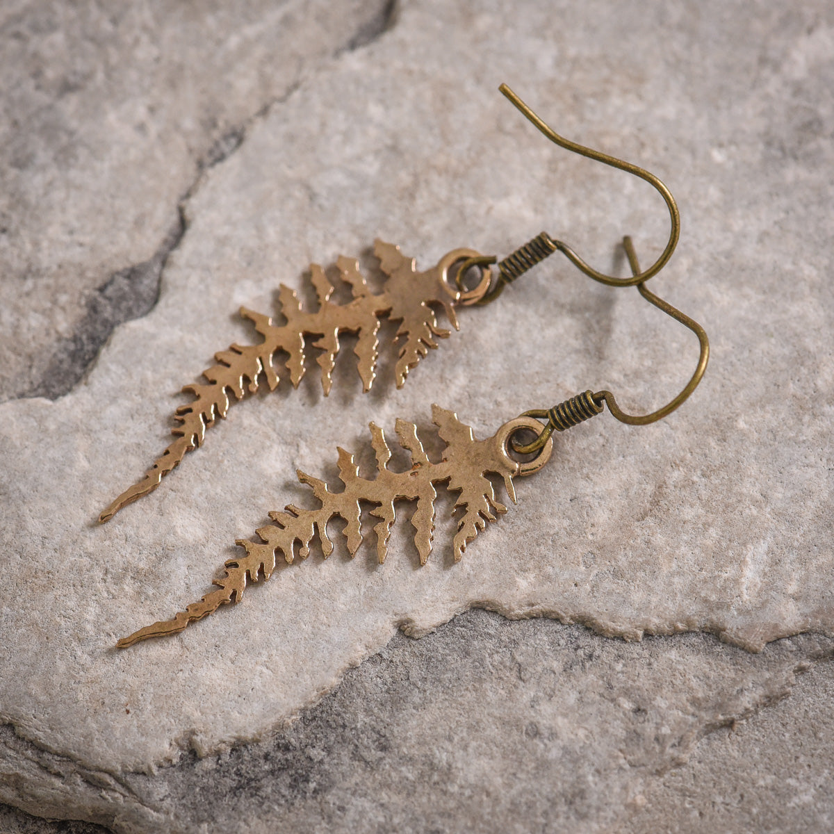 Fern Earrings in Bronze