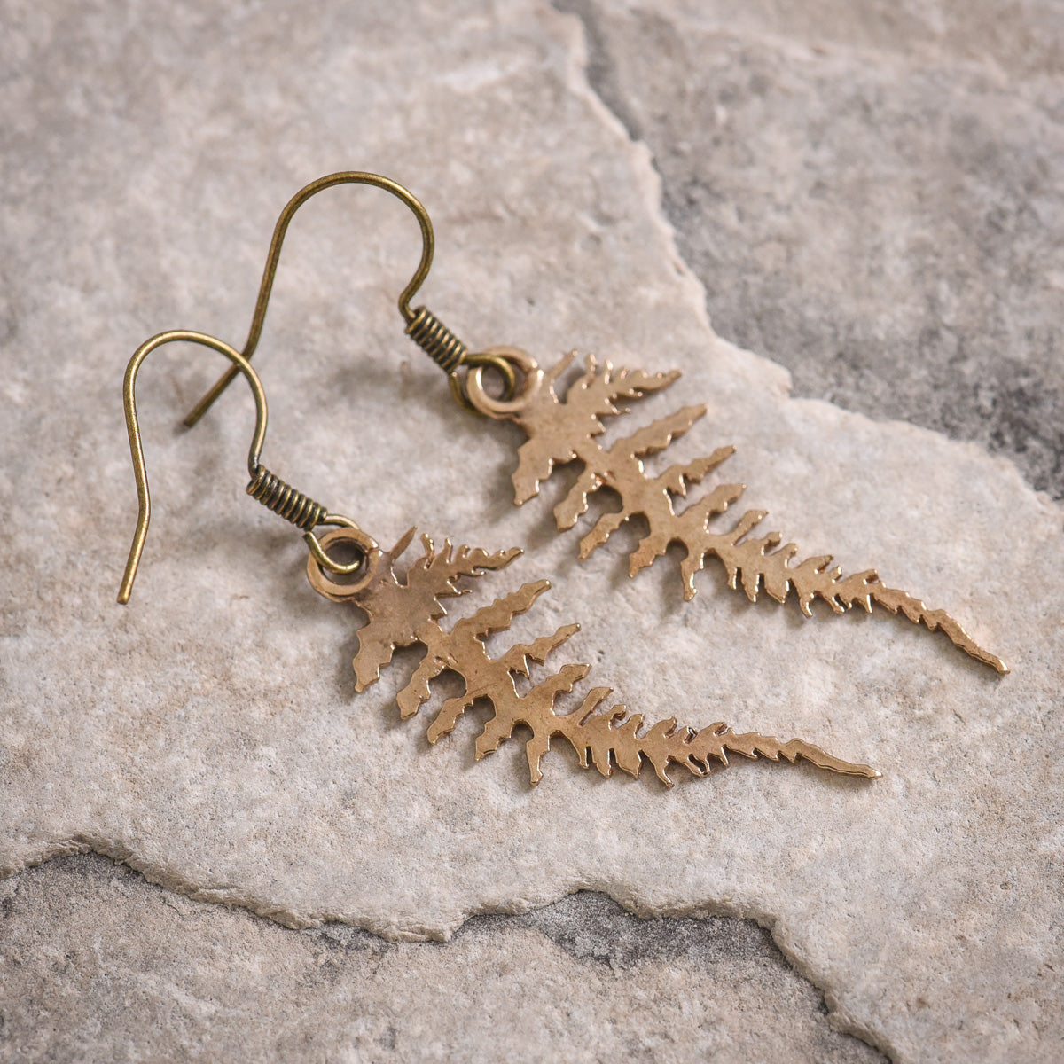 Fern Earrings in Bronze