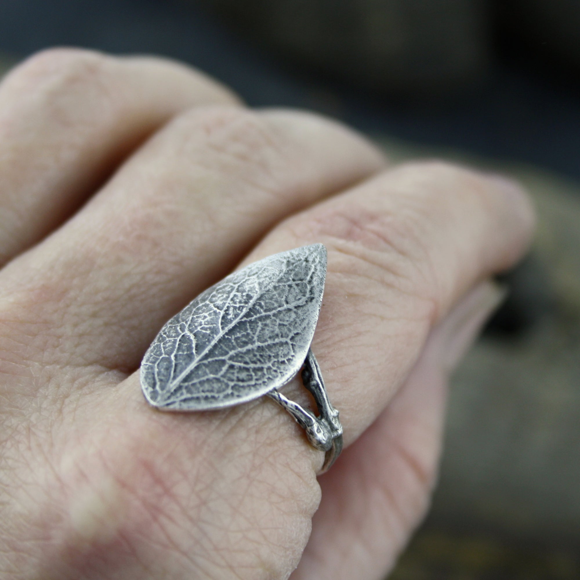 Alder Ring