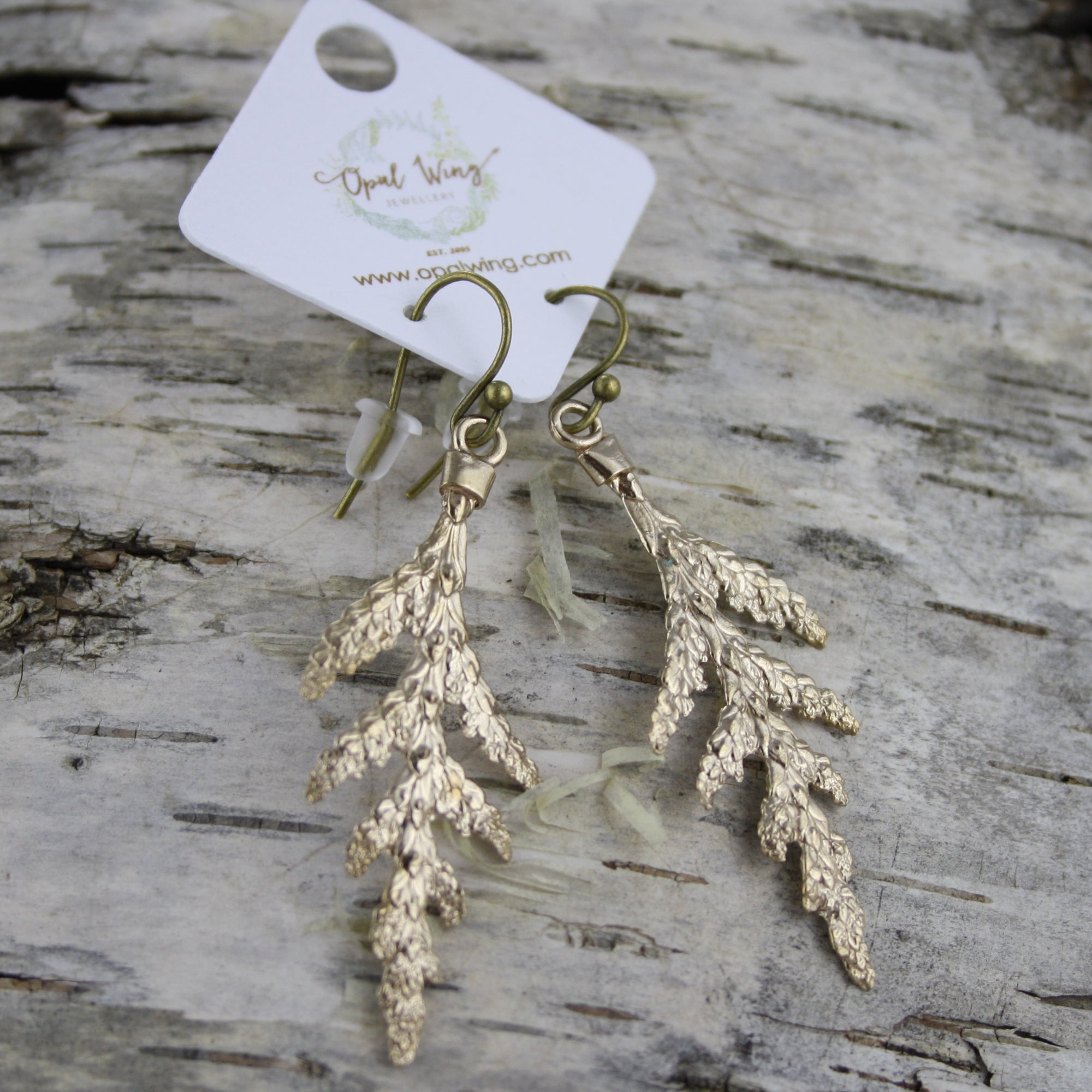 Small White Cedar Earrings in Bronze