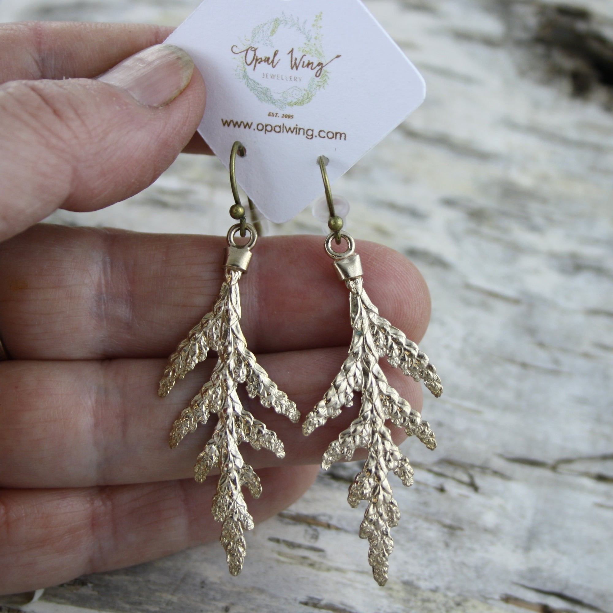 Small White Cedar Earrings in Bronze