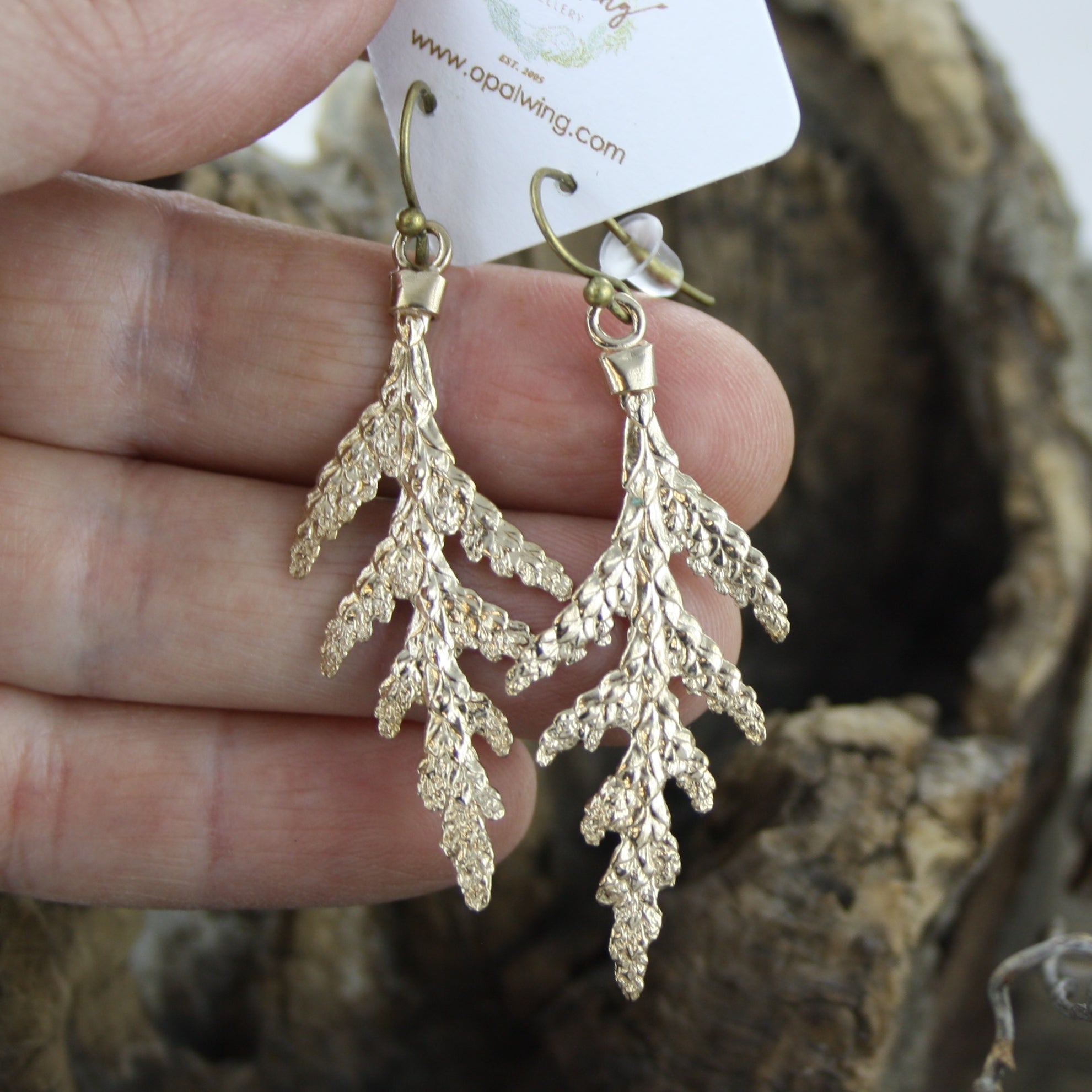 Small White Cedar Earrings in Bronze