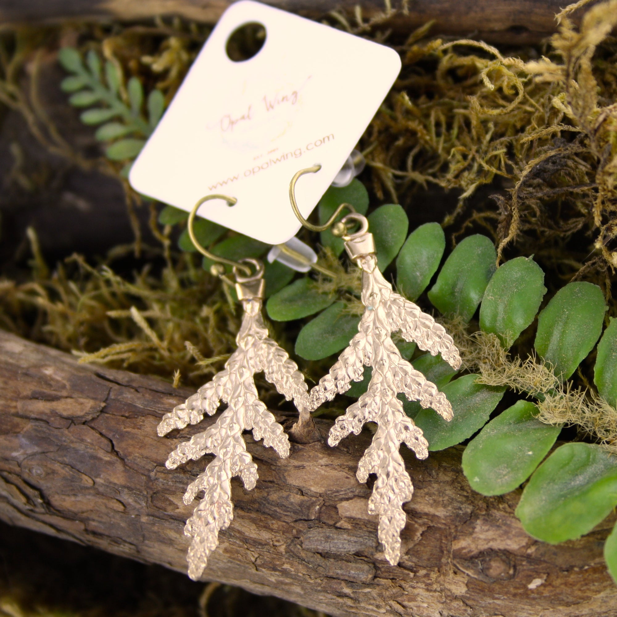 Small White Cedar Earrings in Bronze