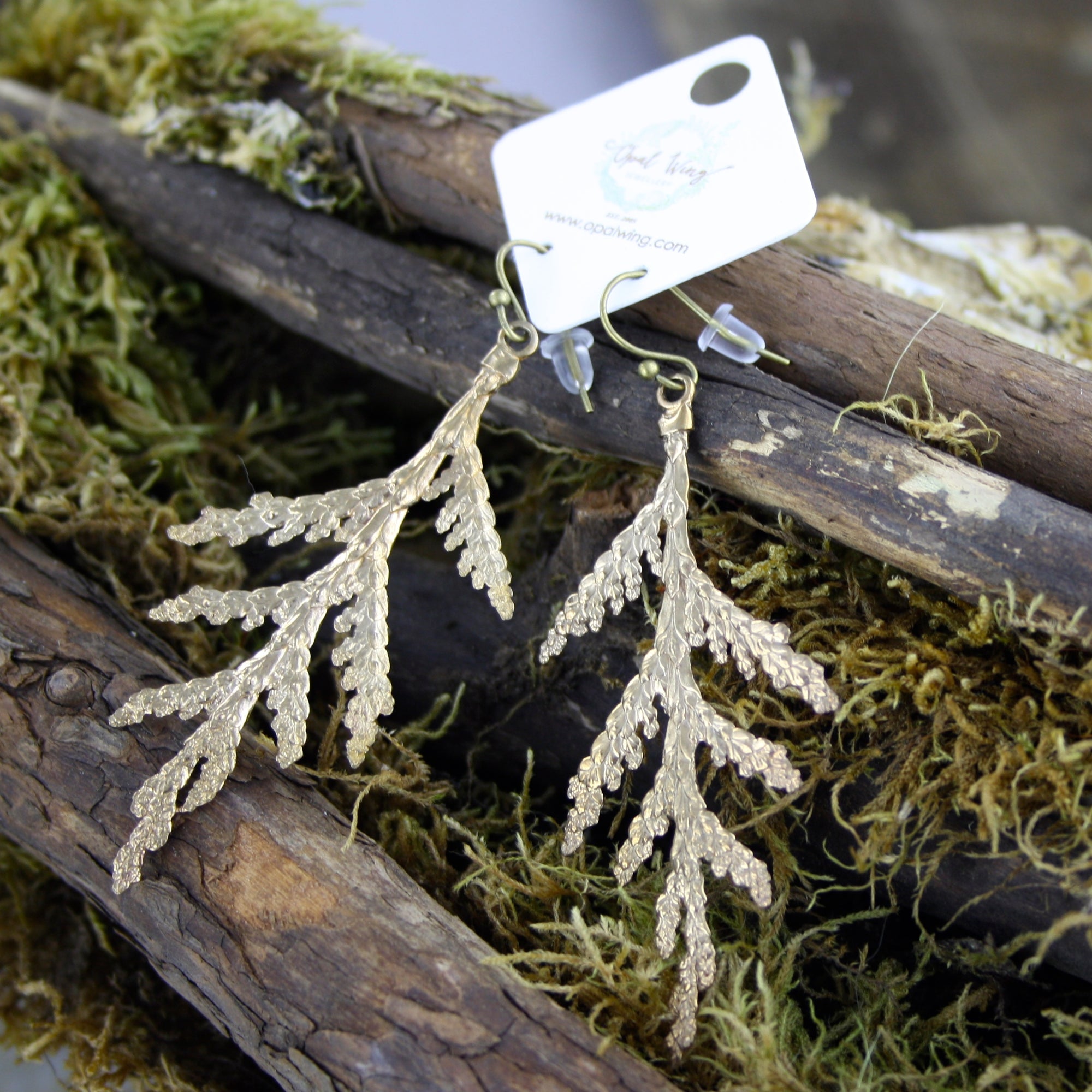 Large White Cedar Earrings in Bronze