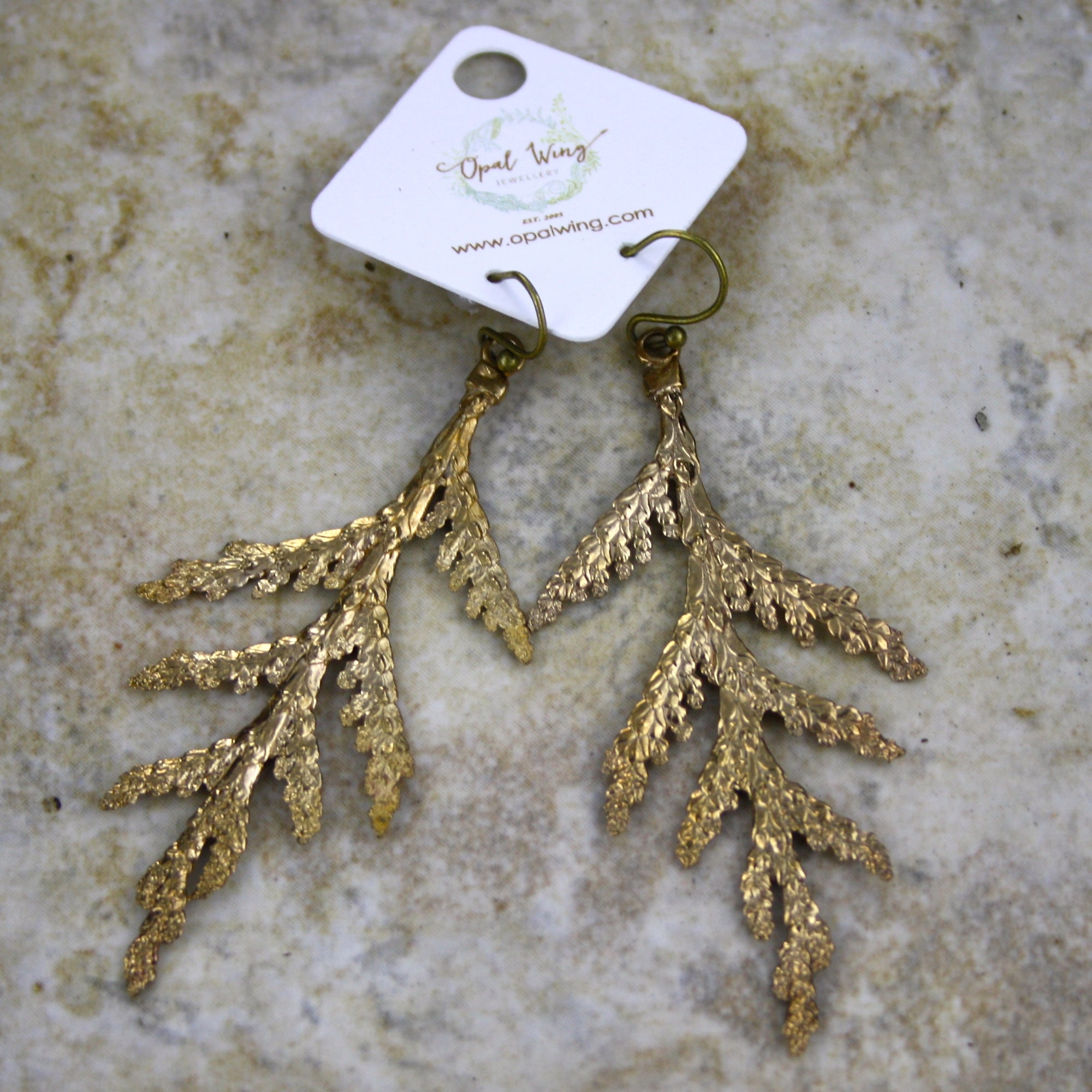 Large White Cedar Earrings in Bronze