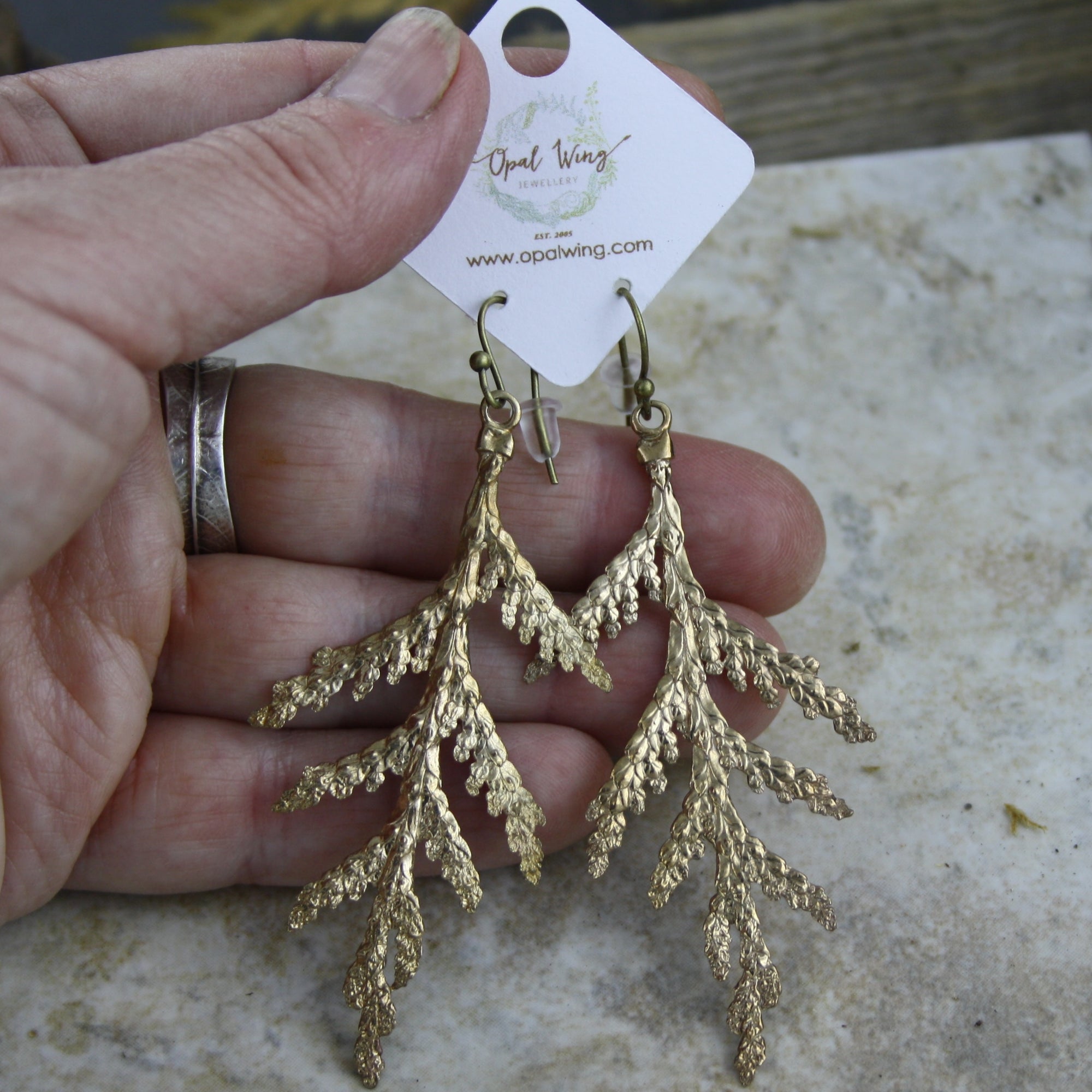 Large White Cedar Earrings in Bronze