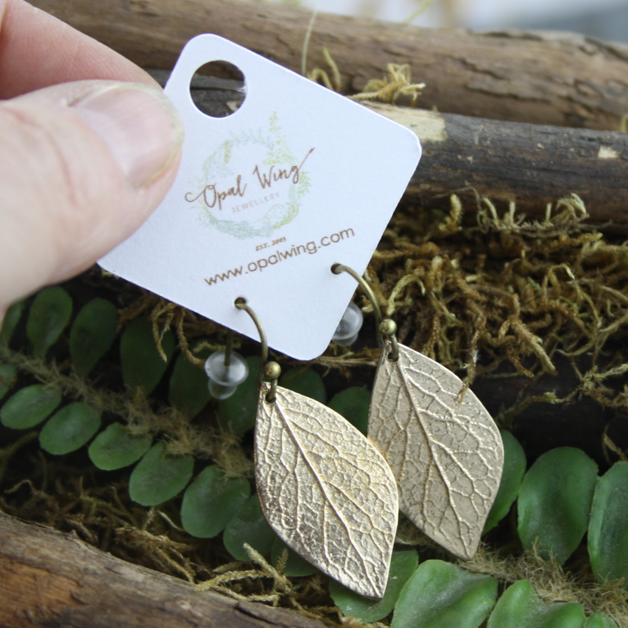 Alder Earrings in Bronze