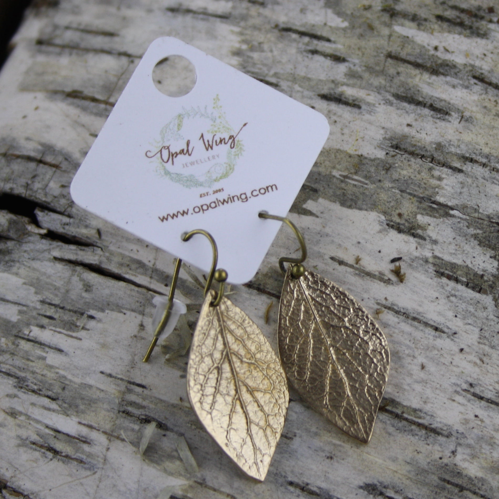 Alder Earrings in Bronze