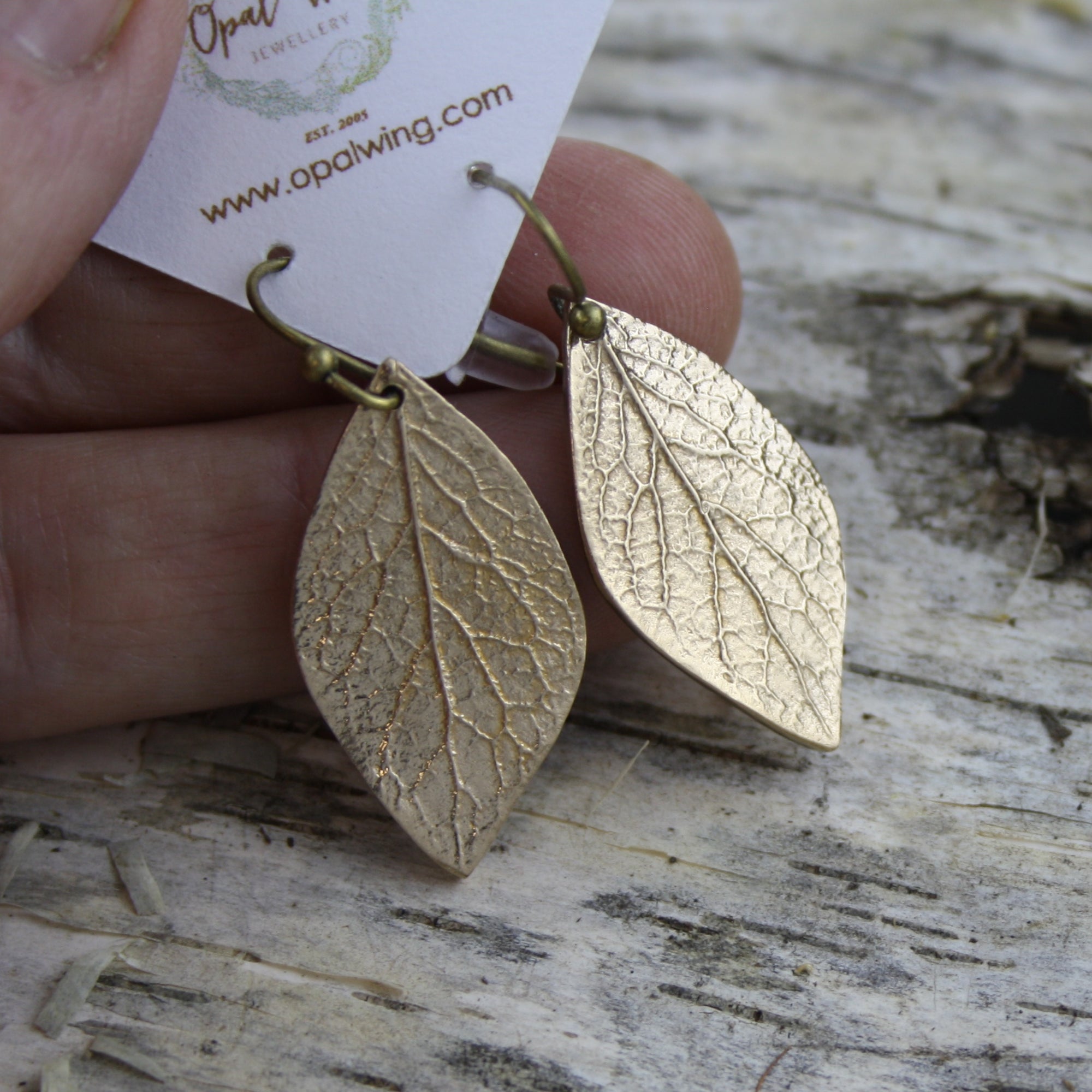 Alder Earrings in Bronze