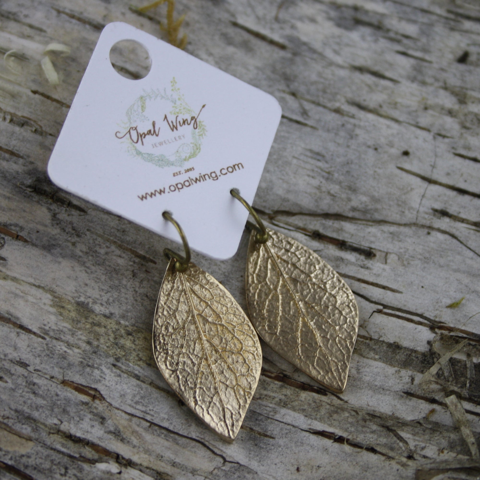 Alder Earrings in Bronze