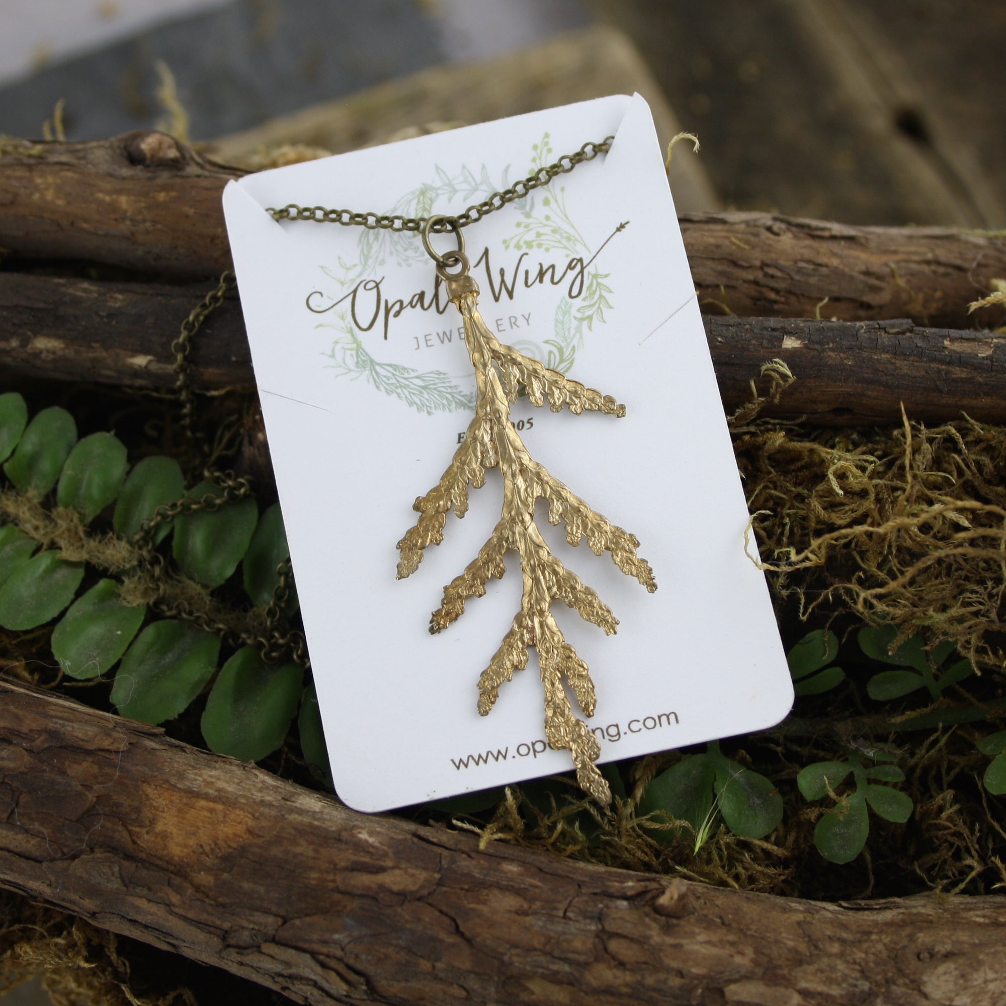 Large White Cedar Pendant in Bronze