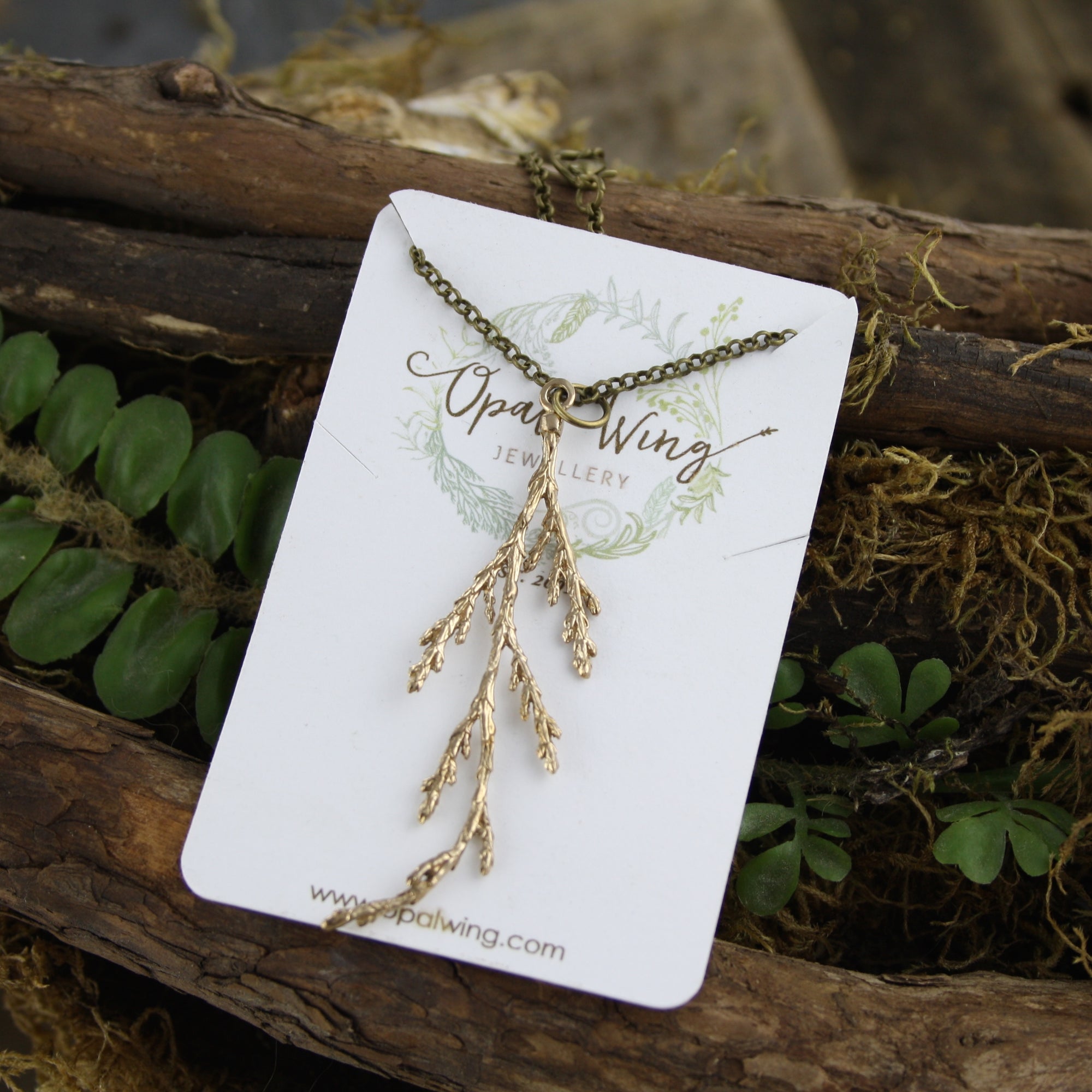 Eastern Cedar Pendant in Bronze