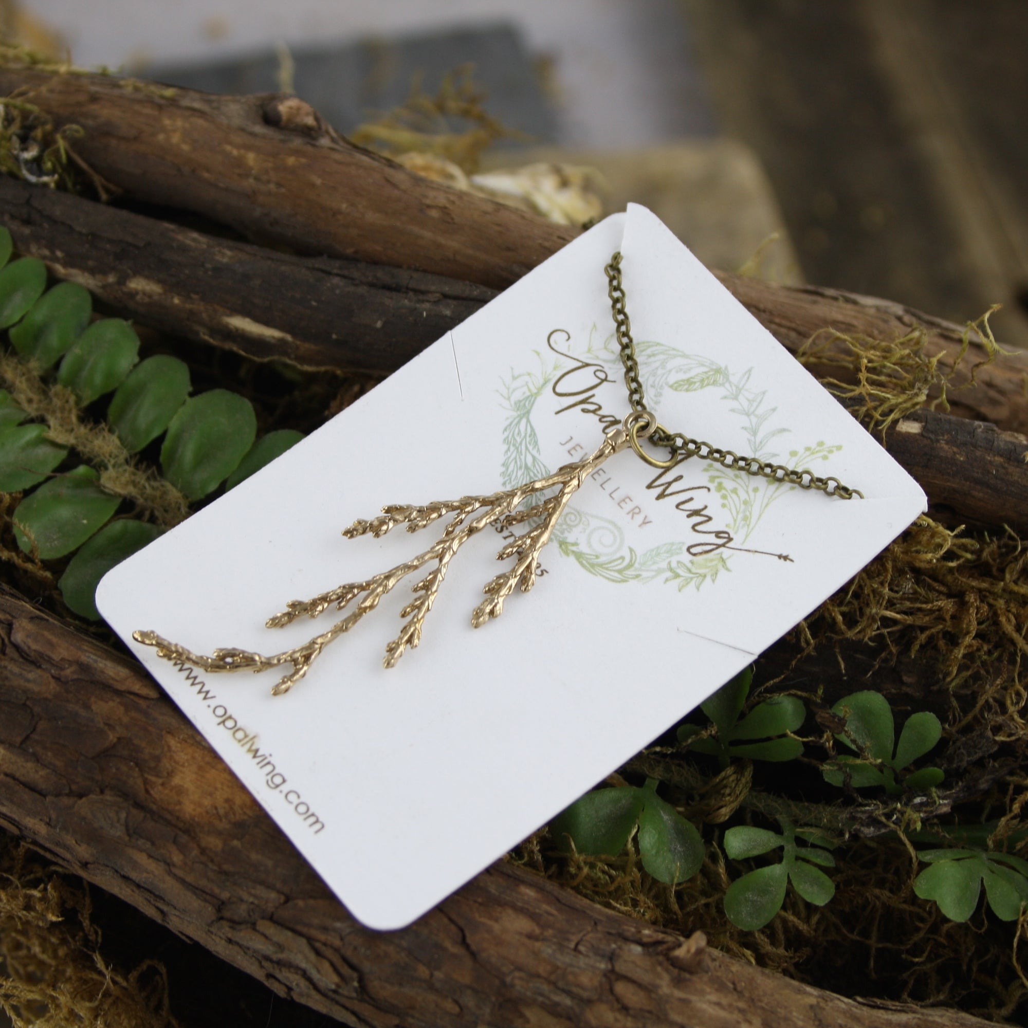 Eastern Cedar Pendant in Bronze