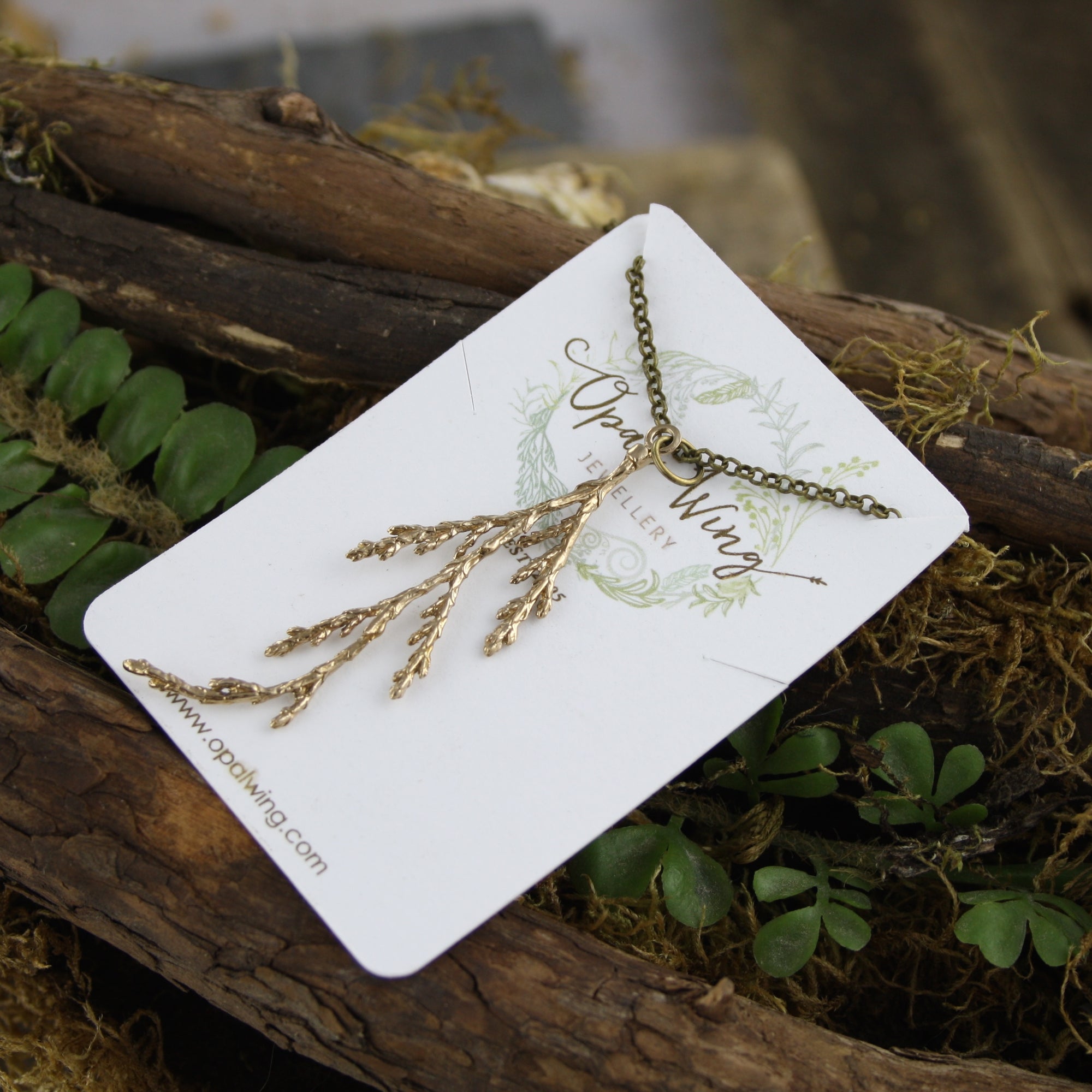 Eastern Cedar Pendant in Bronze